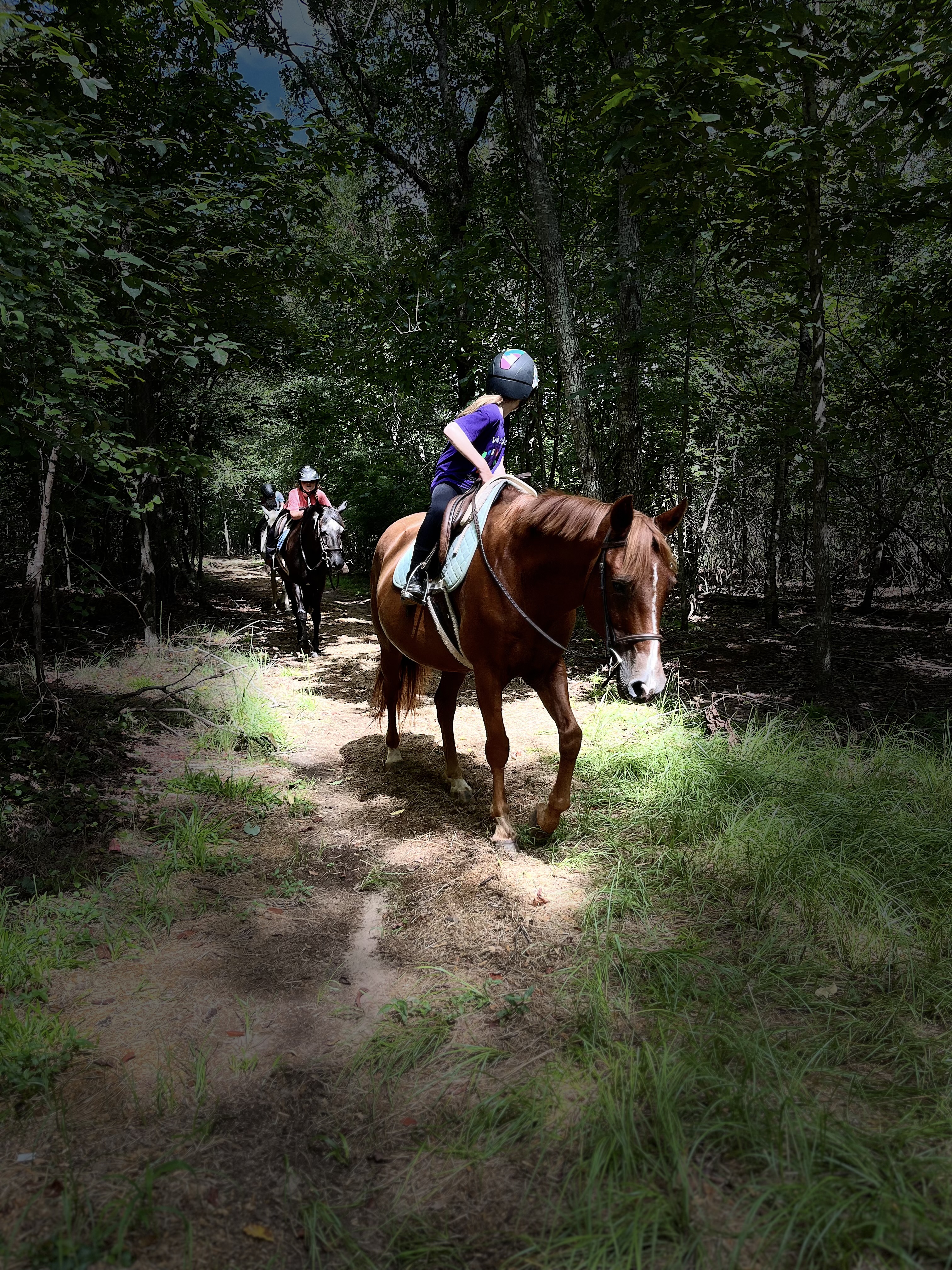 Trails