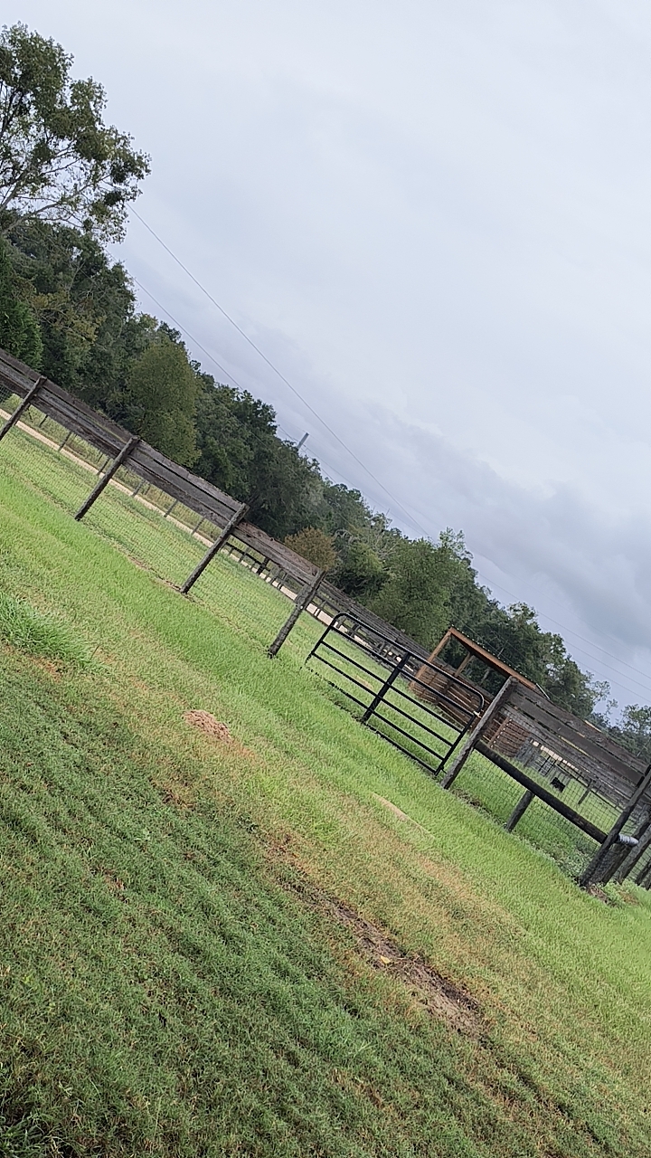 Paddock w shelter