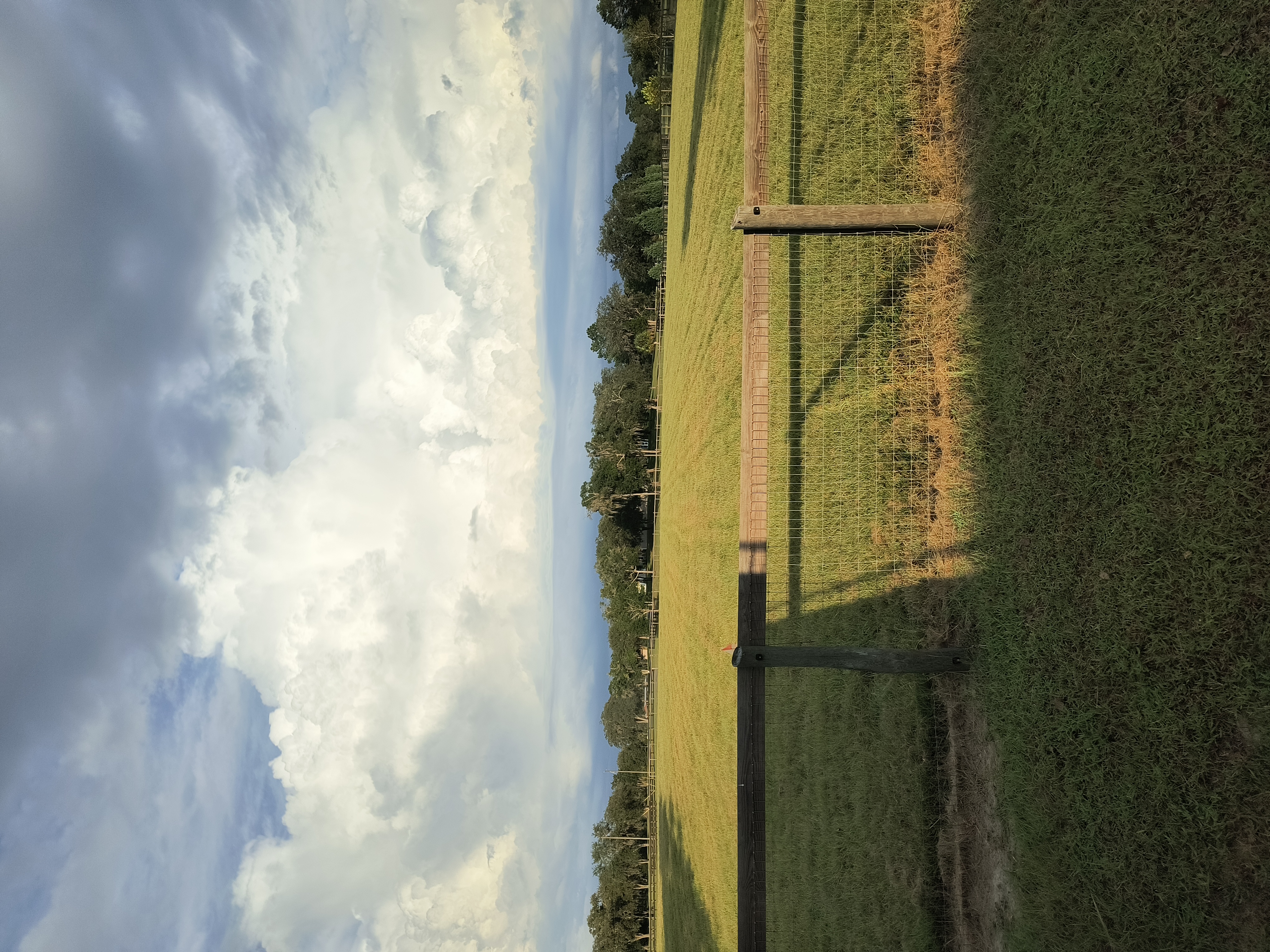 Beautiful pastures