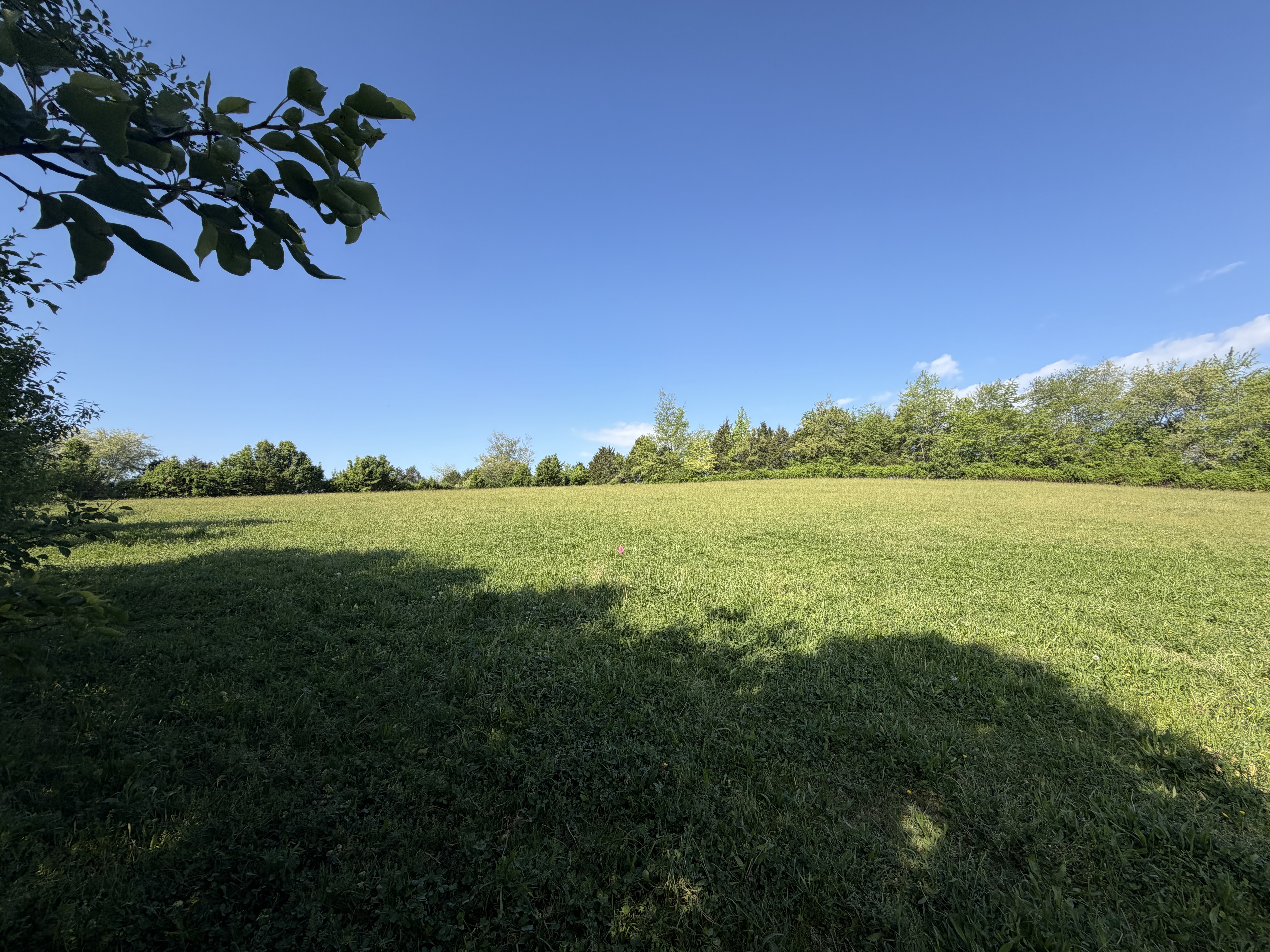 Field 1