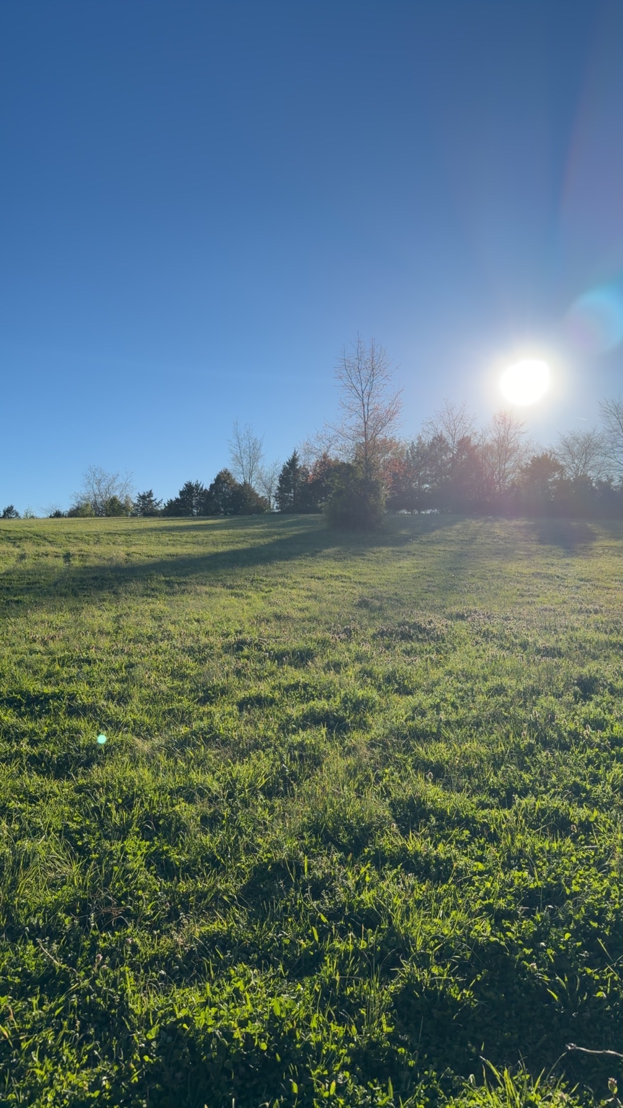 Field 2