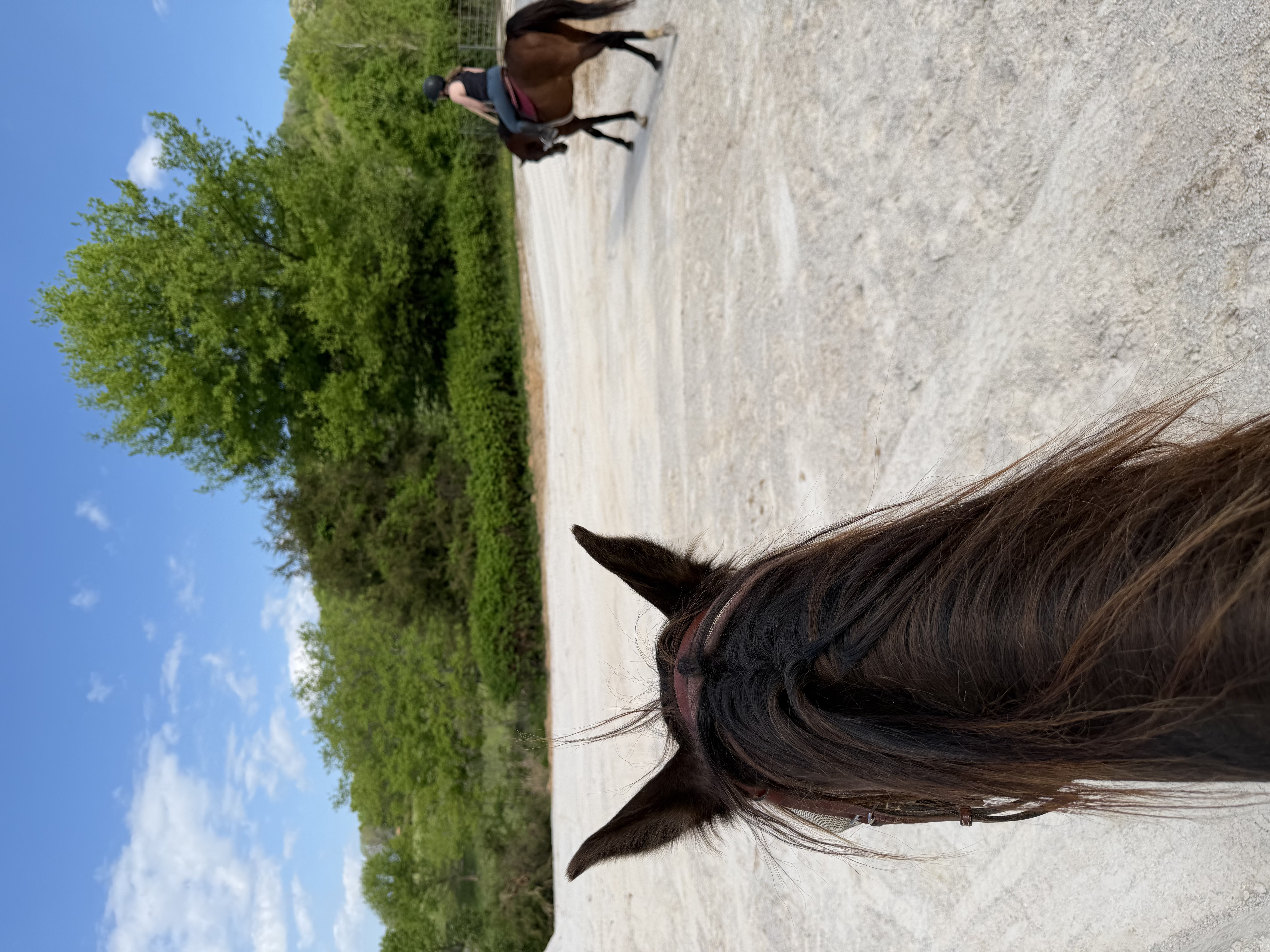 Peaceful rides!