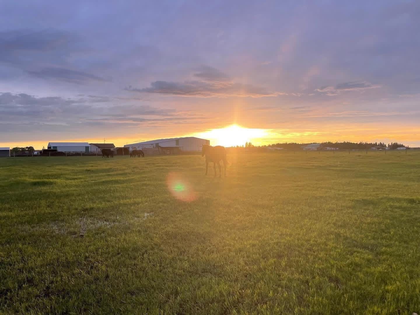 Large, open pastures