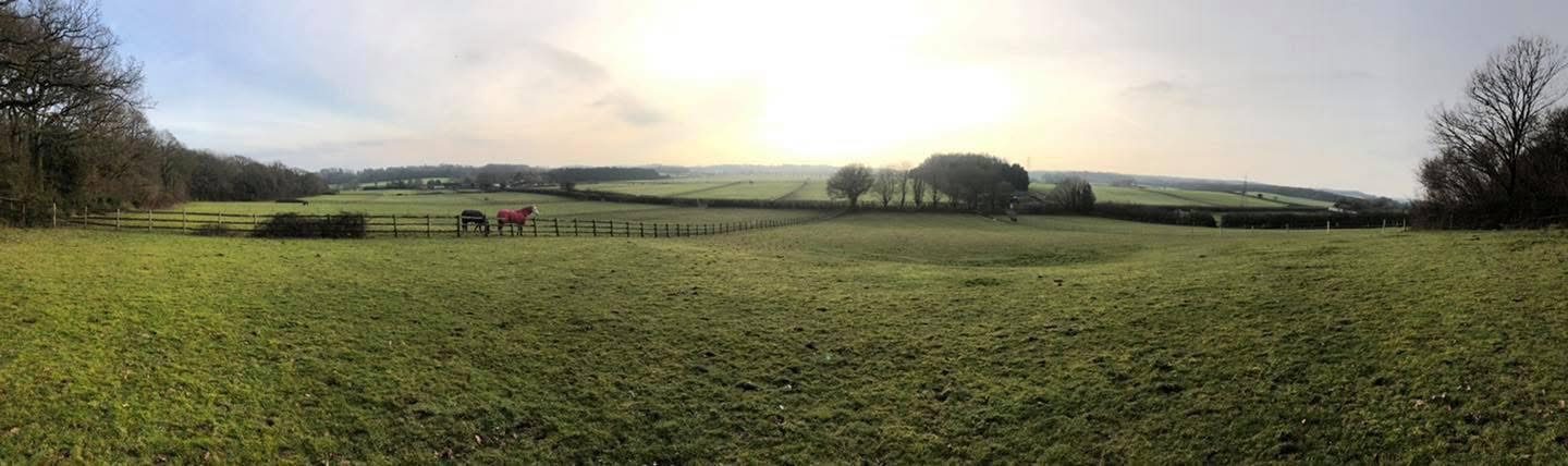 Livery fields
