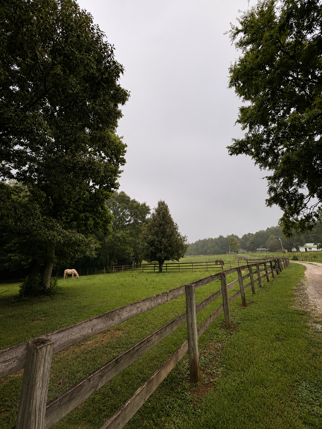 Pastures