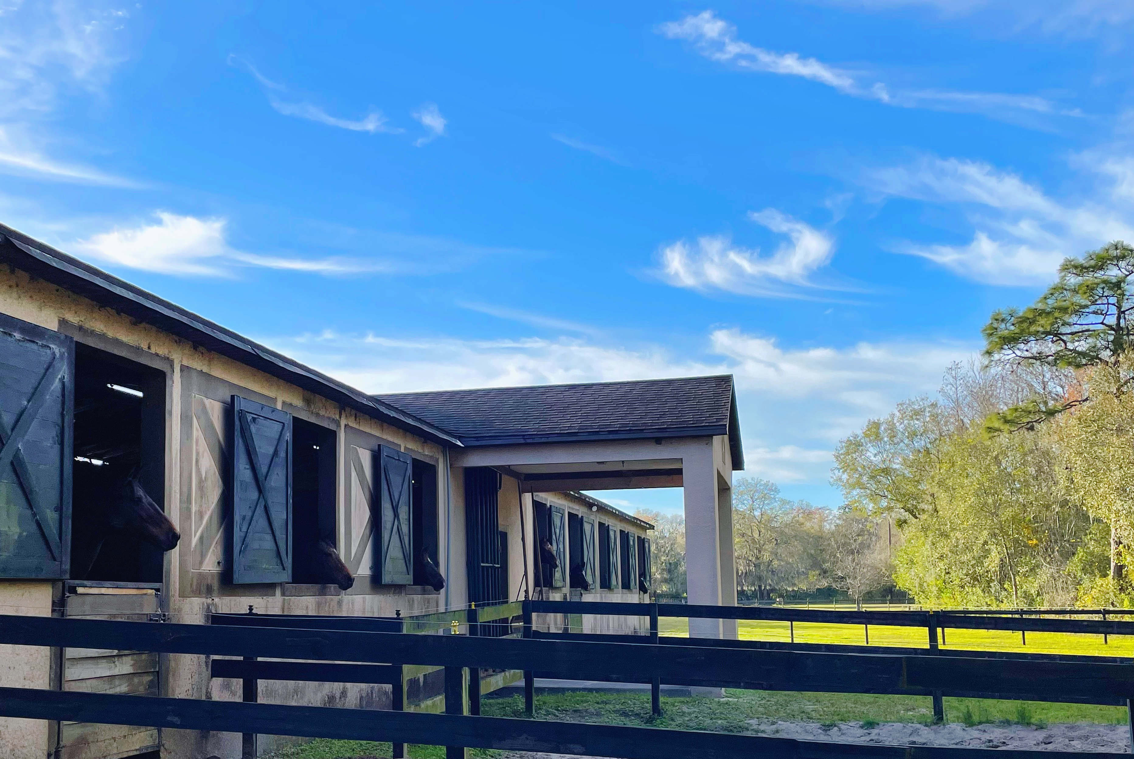 Large open windows for our horses to enjoy, bringing in plenty of natural light and airflow.