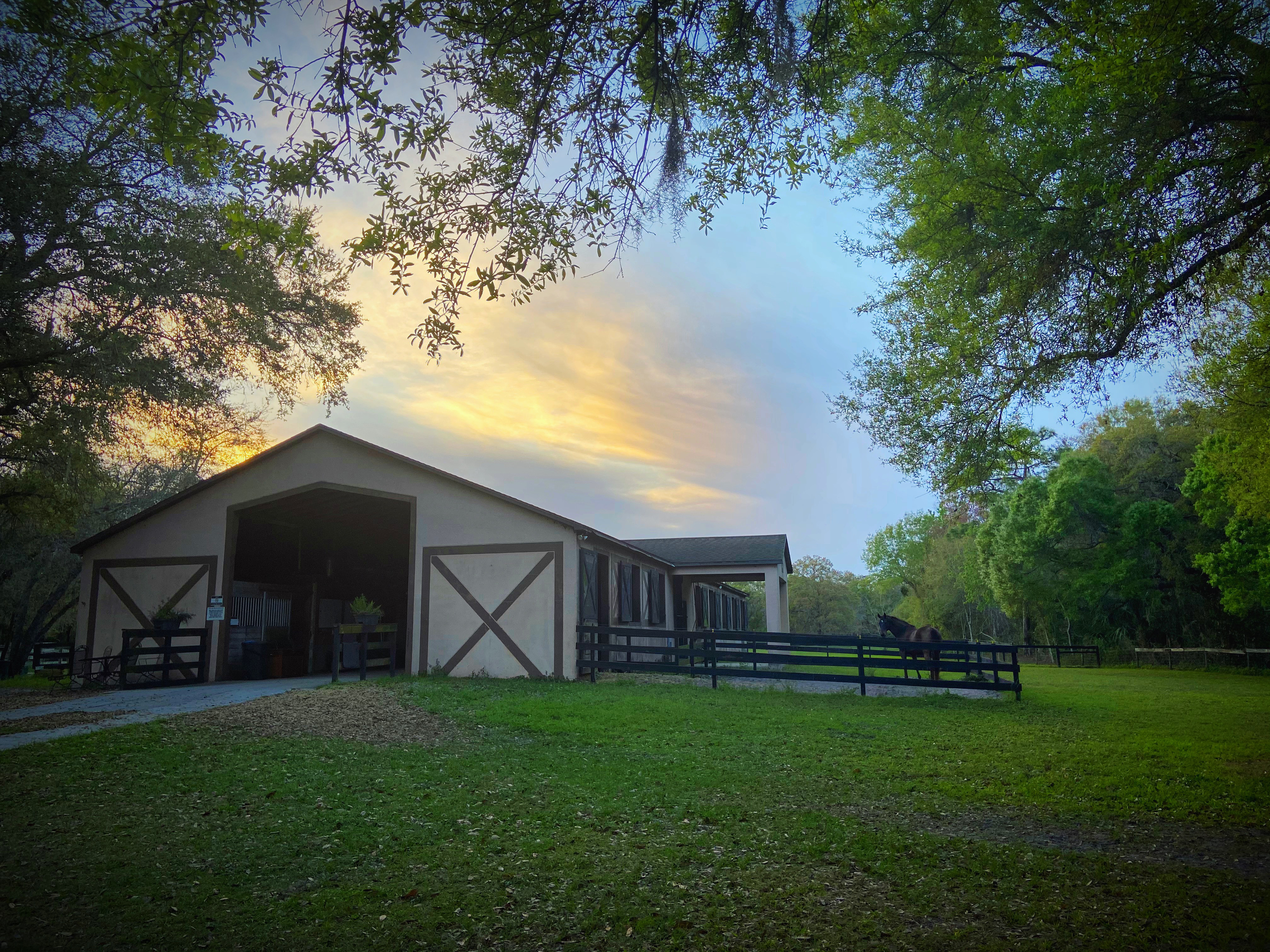 Our main barn…the heart of our facility. Always welcoming and solid concrete build.