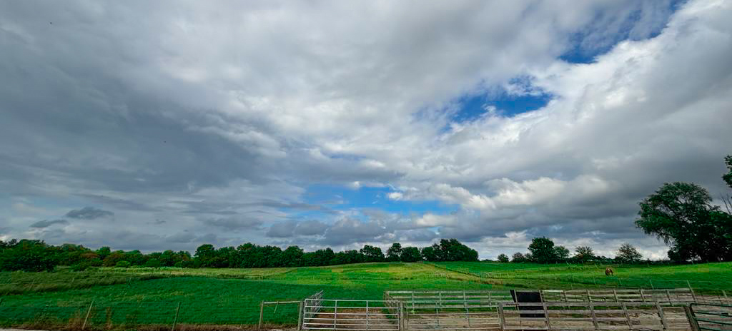 Pasture view