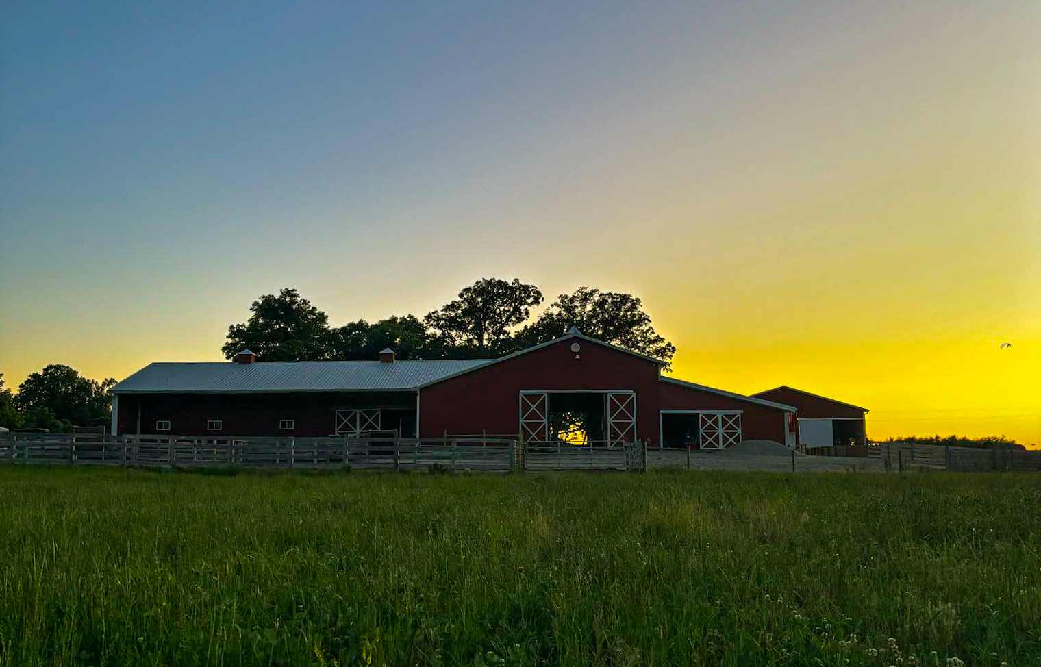 View of the barn from the pastures