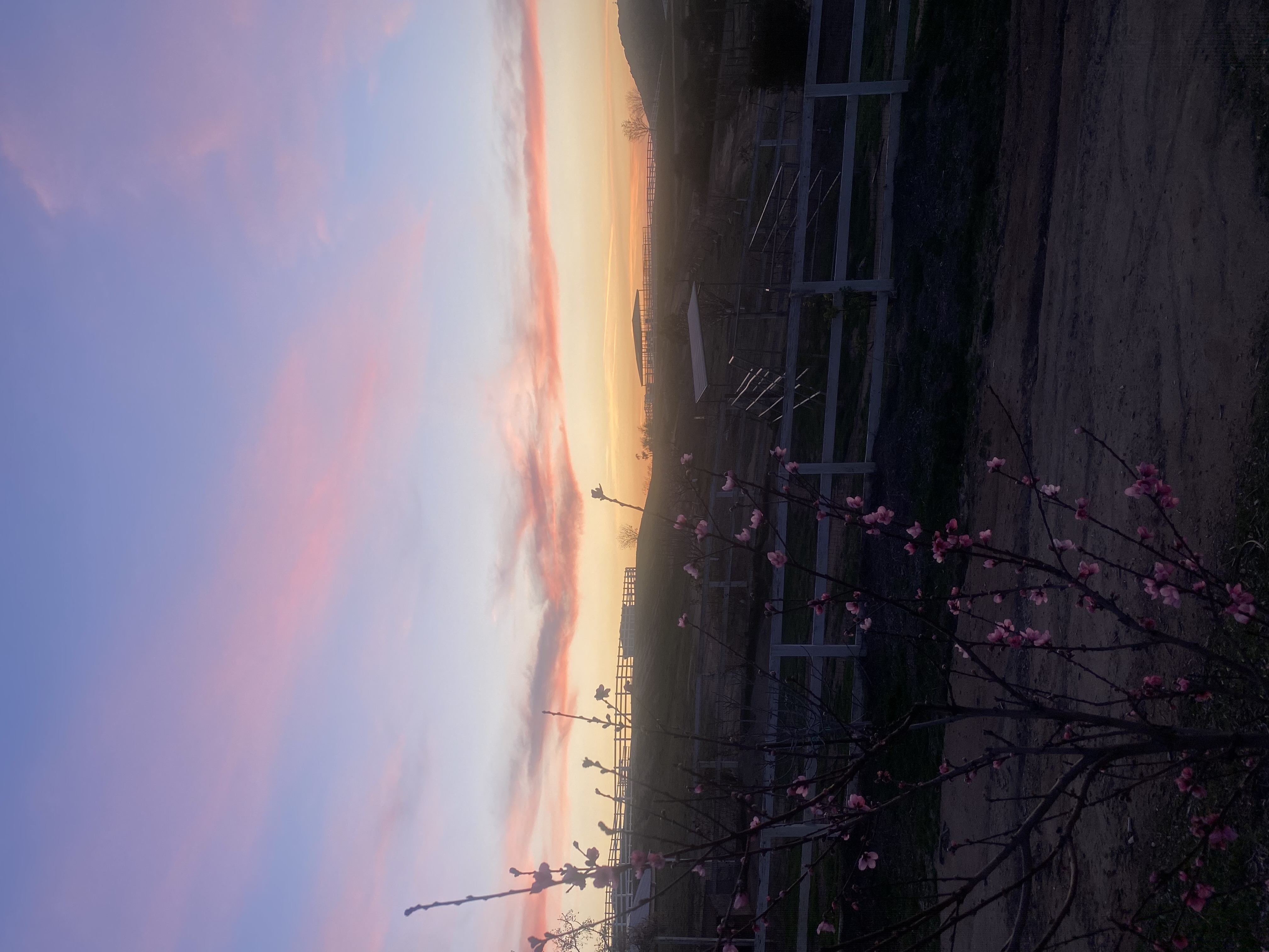 Sunsets on the Ranch are Incomparable