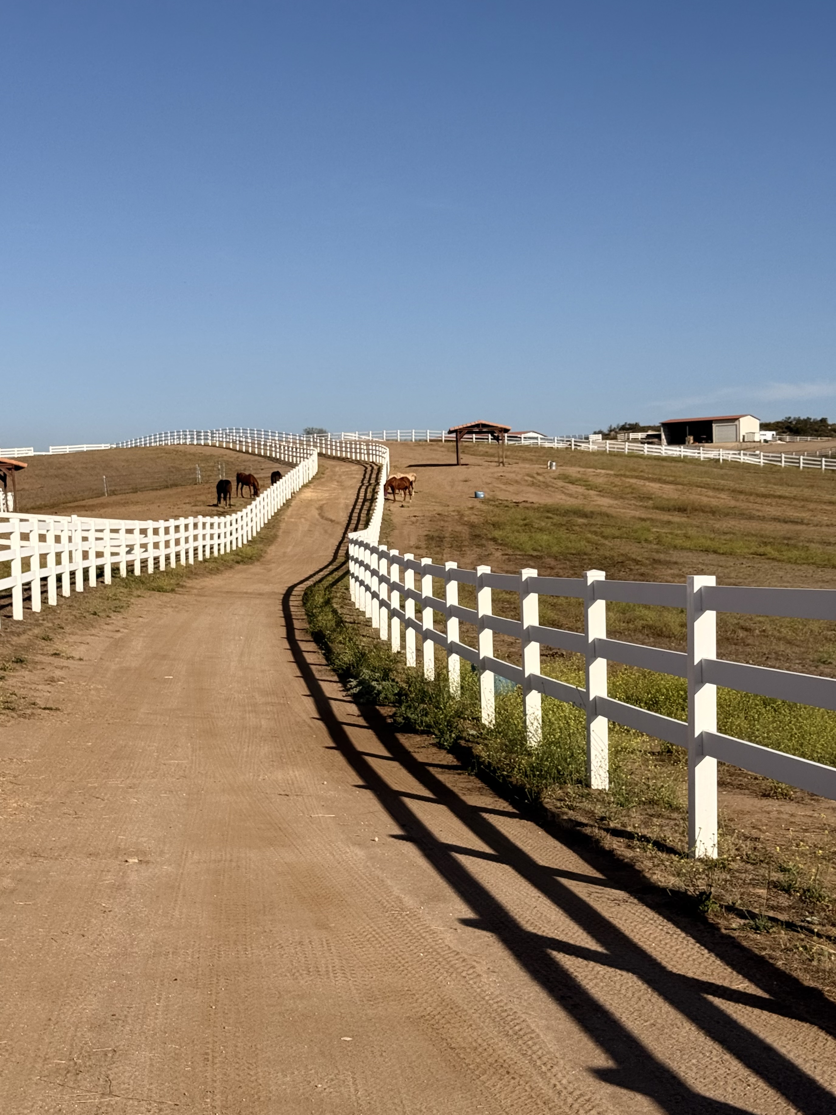 Multiple Pastures