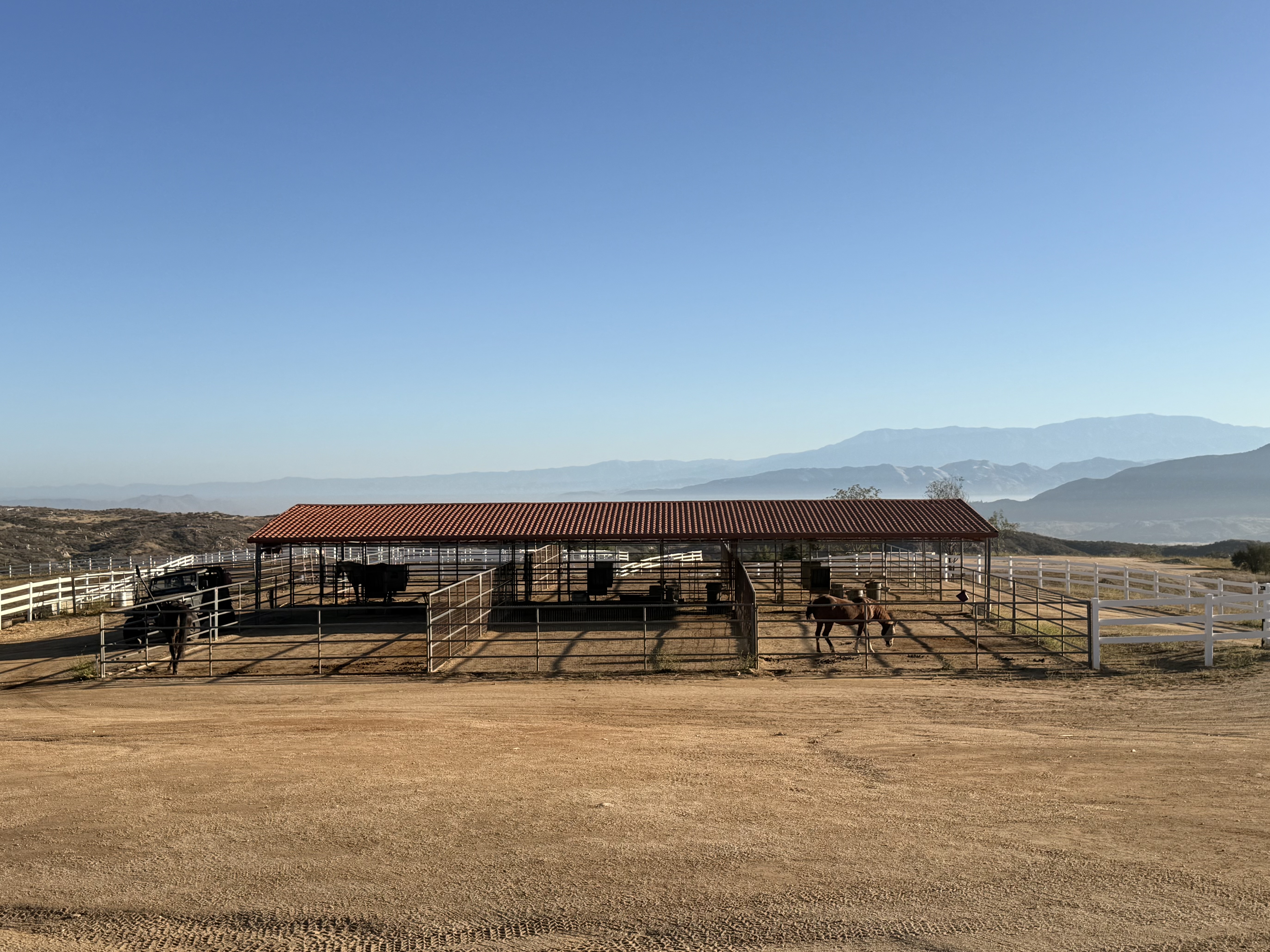 Open Air/Center Isle Stalls