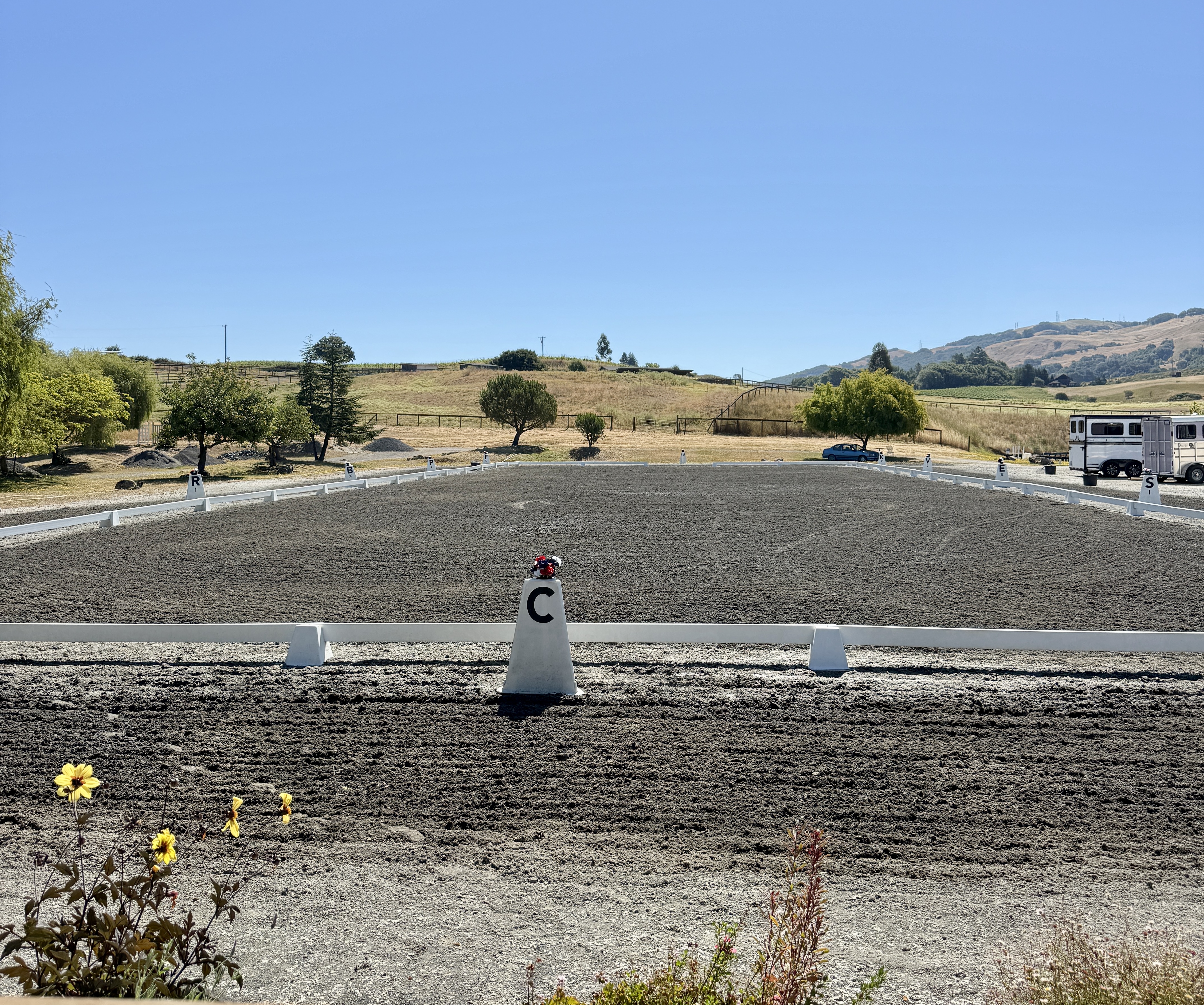 Dressage Arena