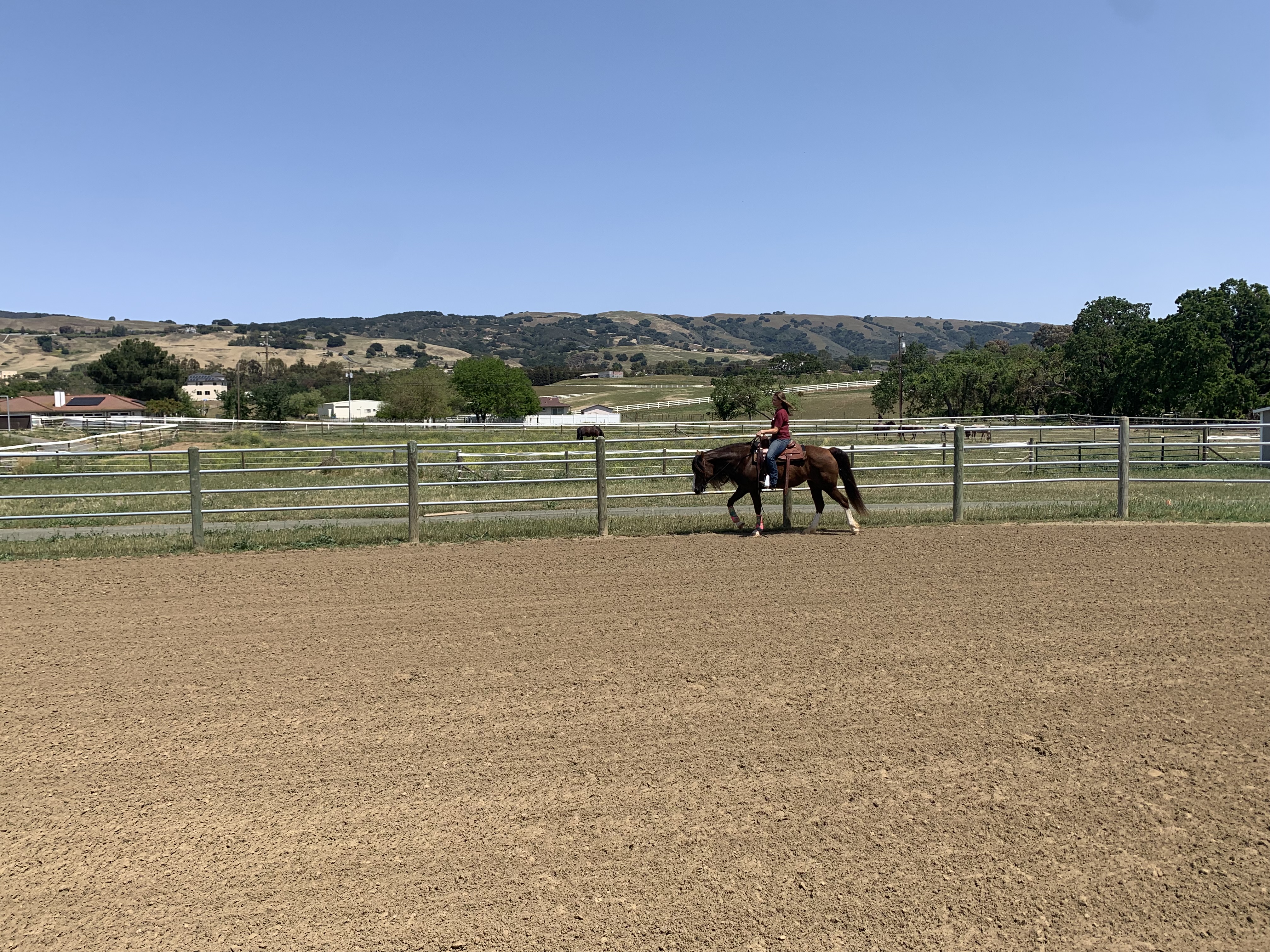 The big arena