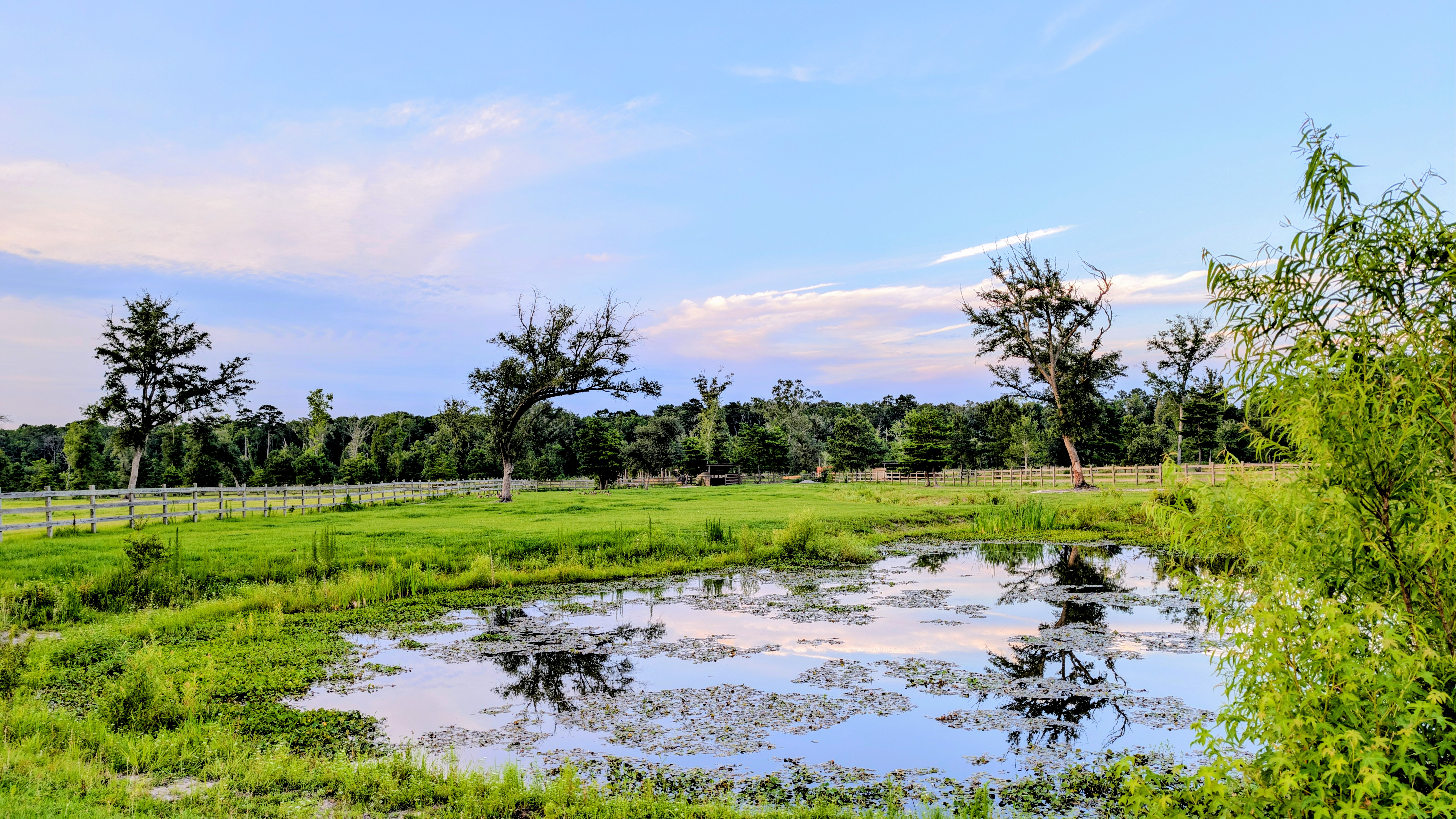 Pasture 2