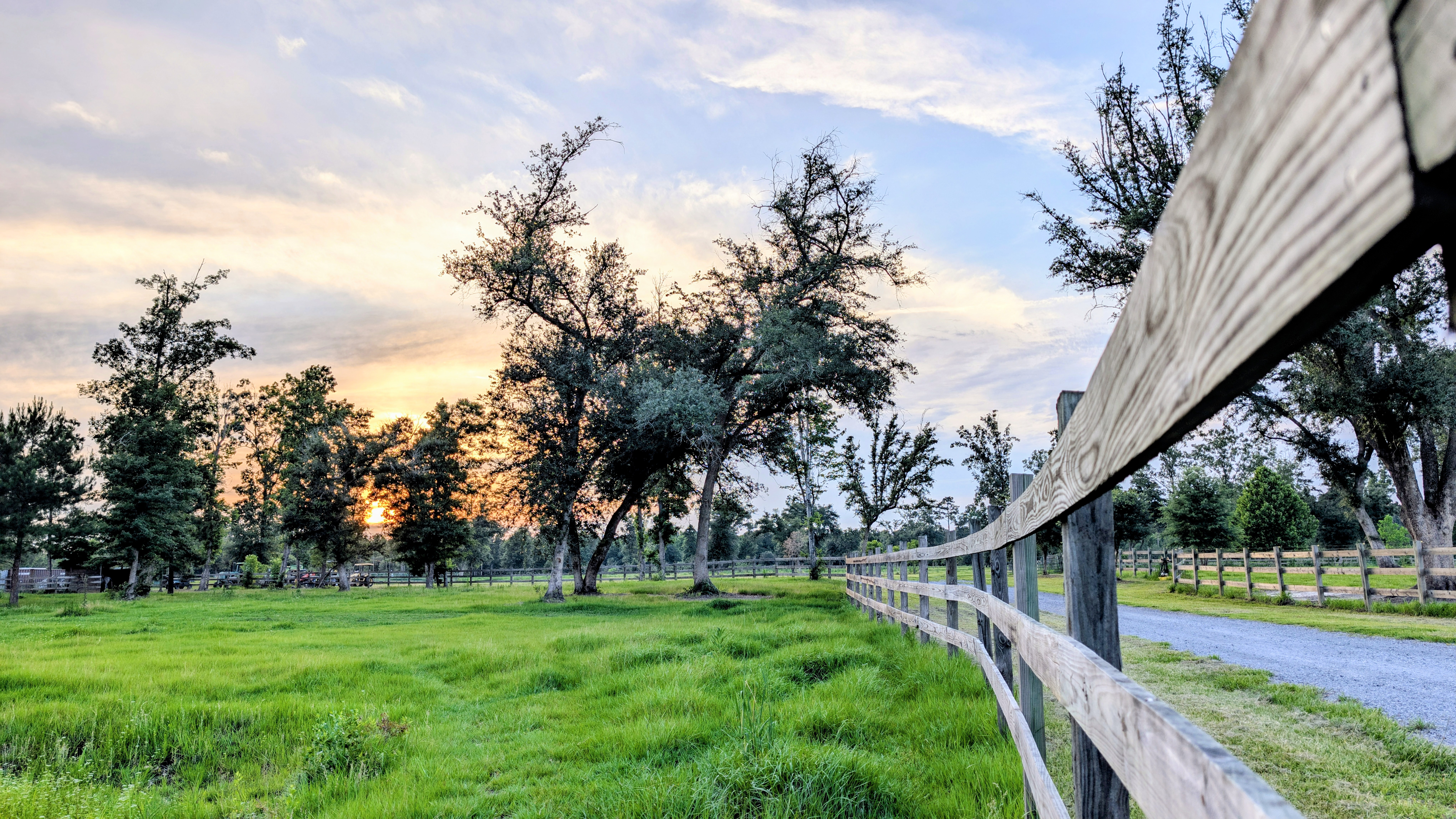Pasture 4
