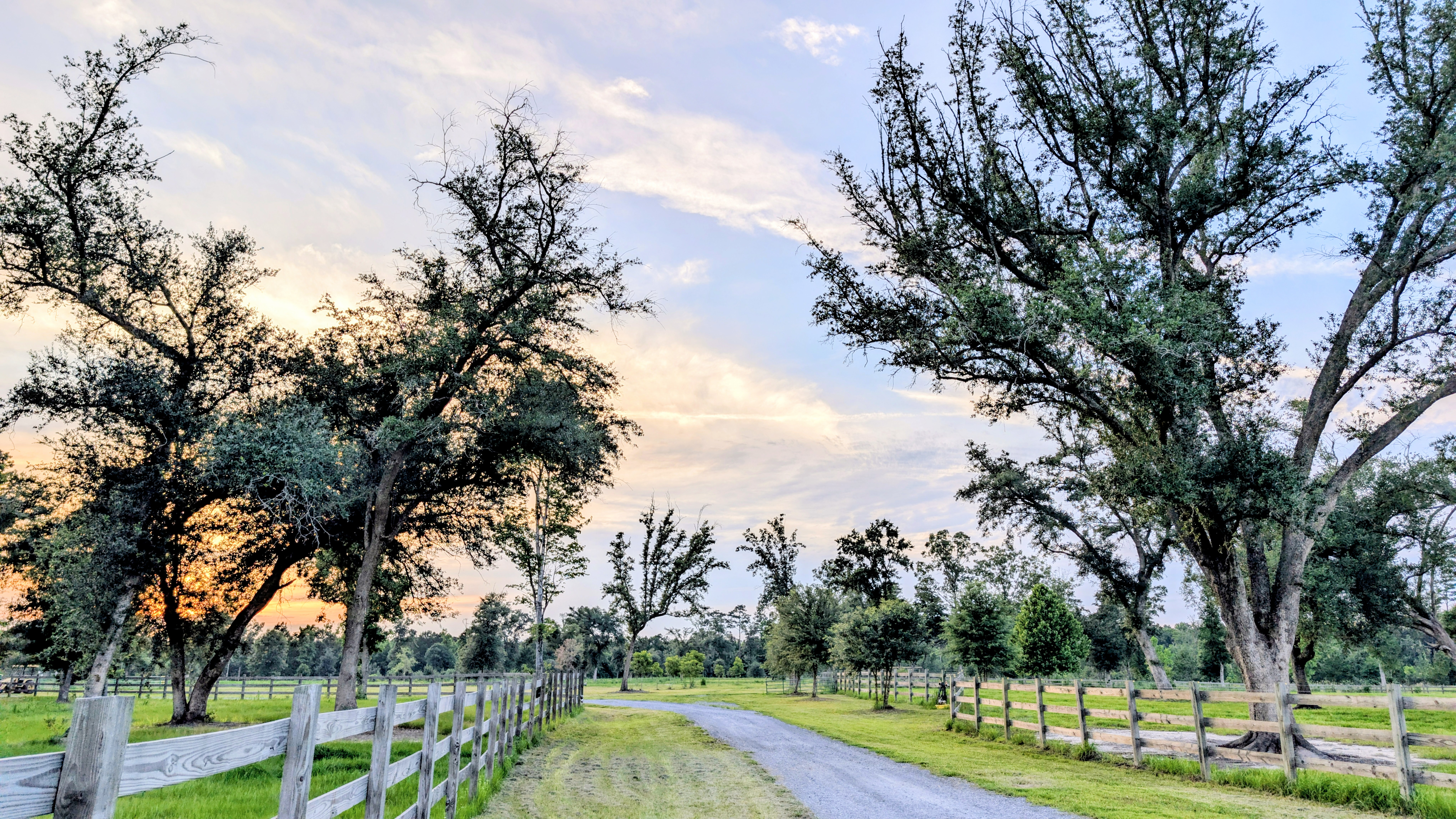 Driveway
