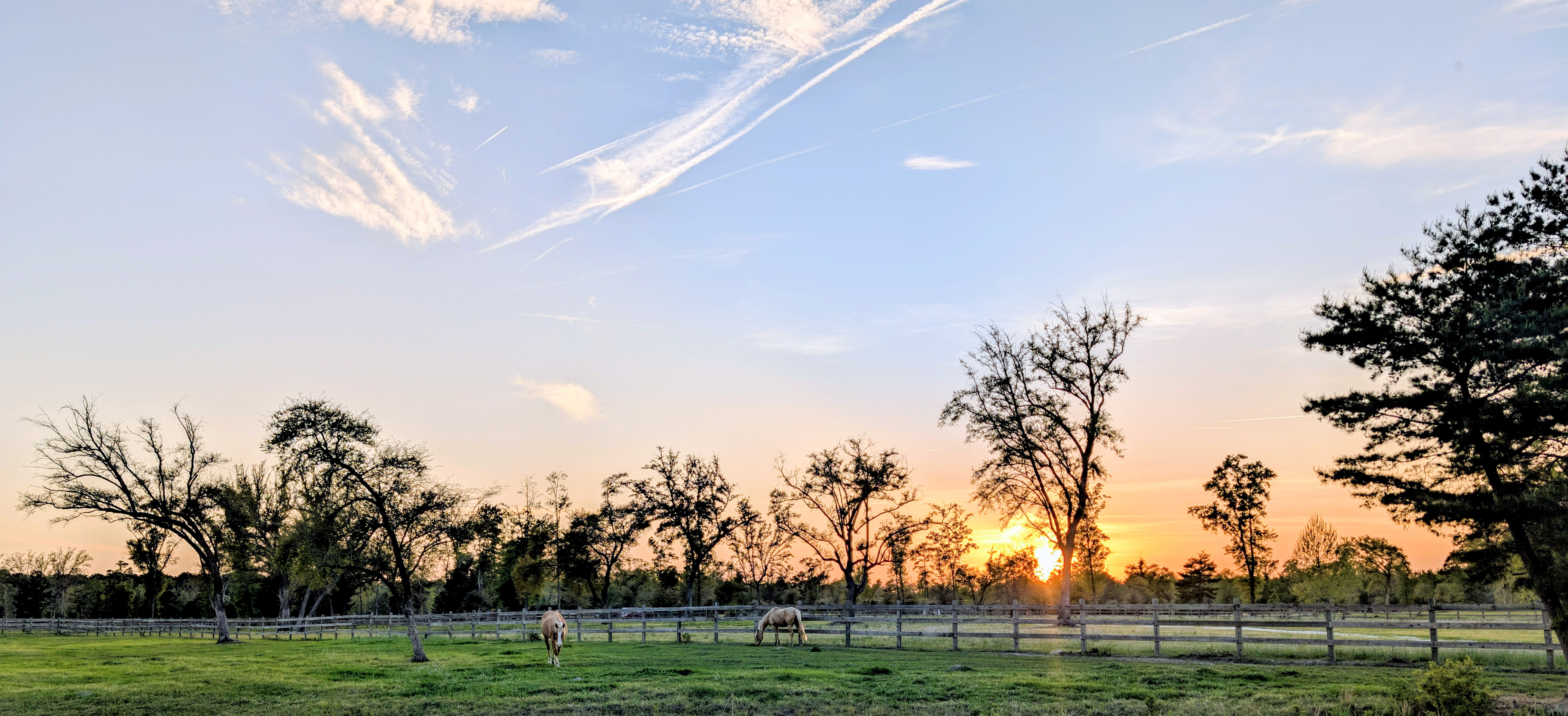 Sunset