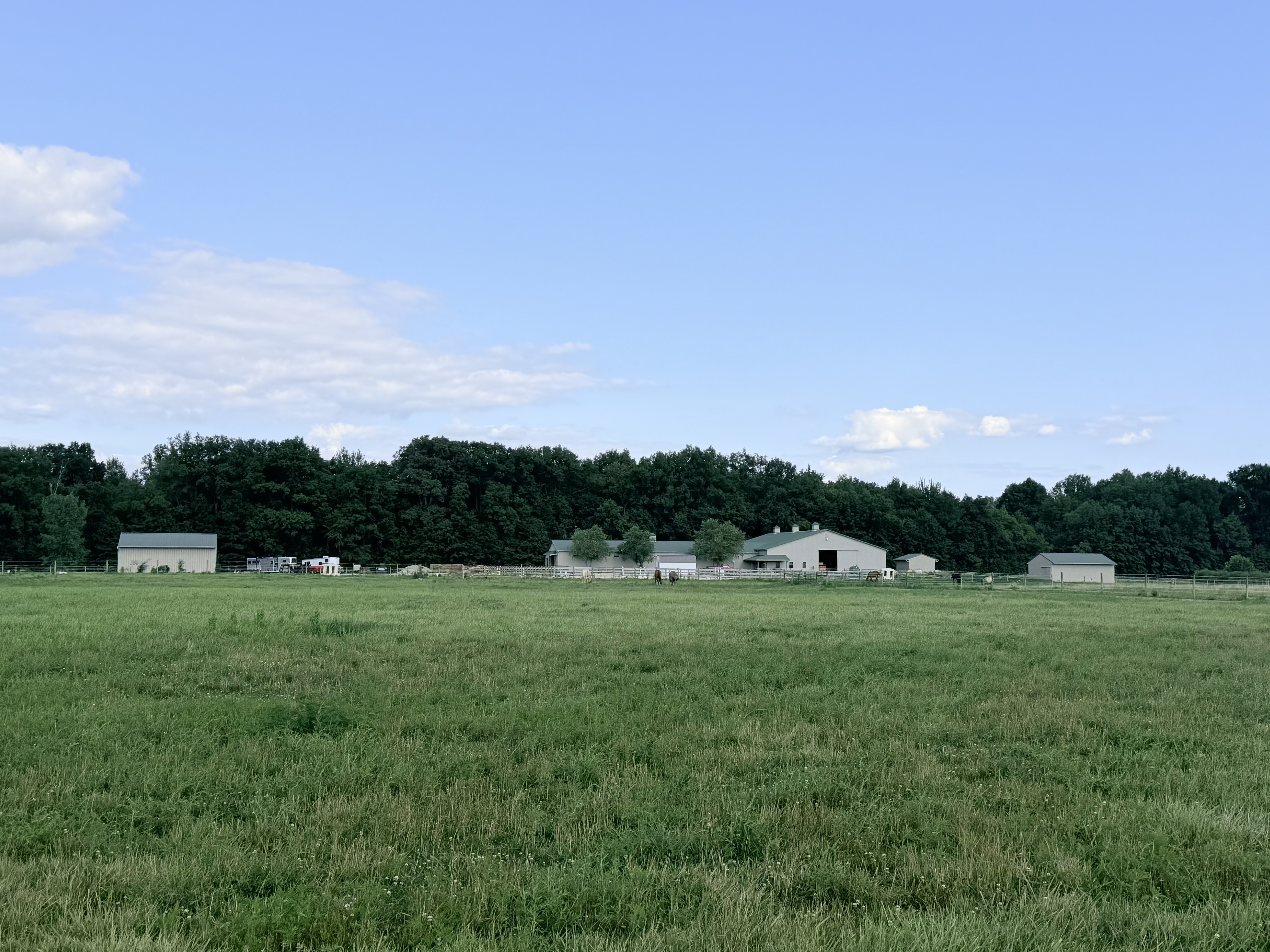 Pasture