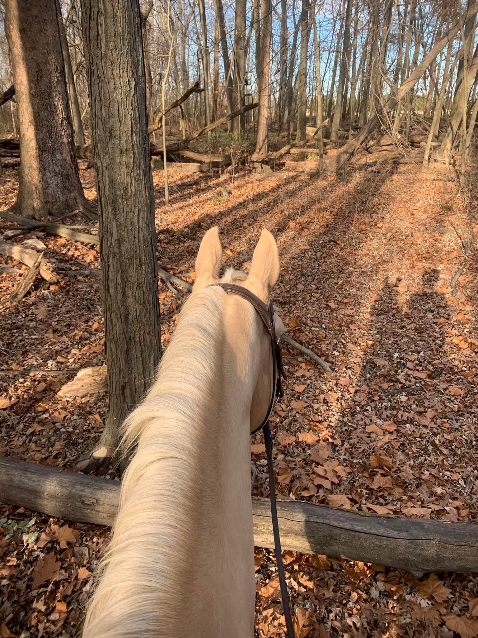 Trails