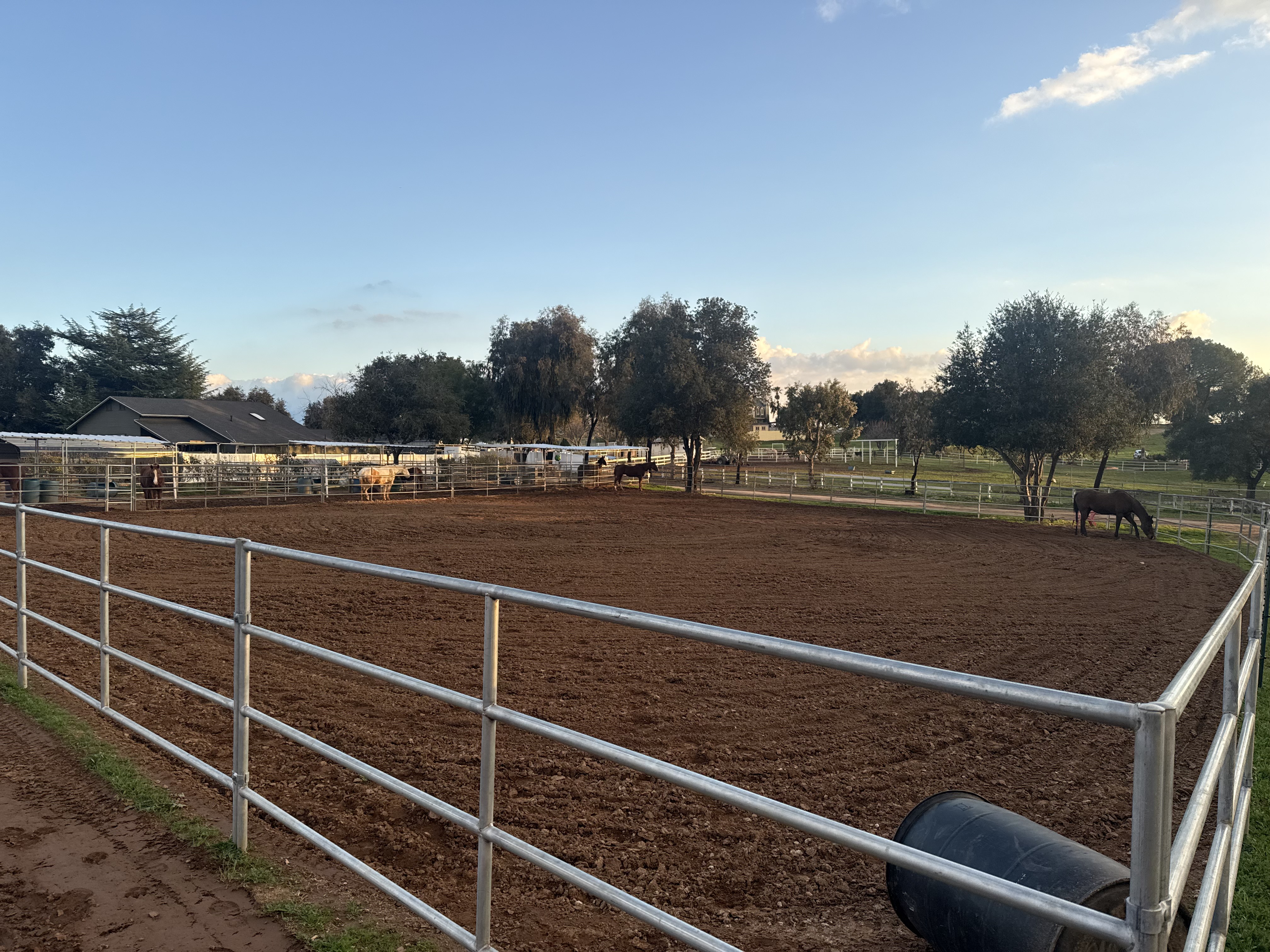 Outdoor Arena