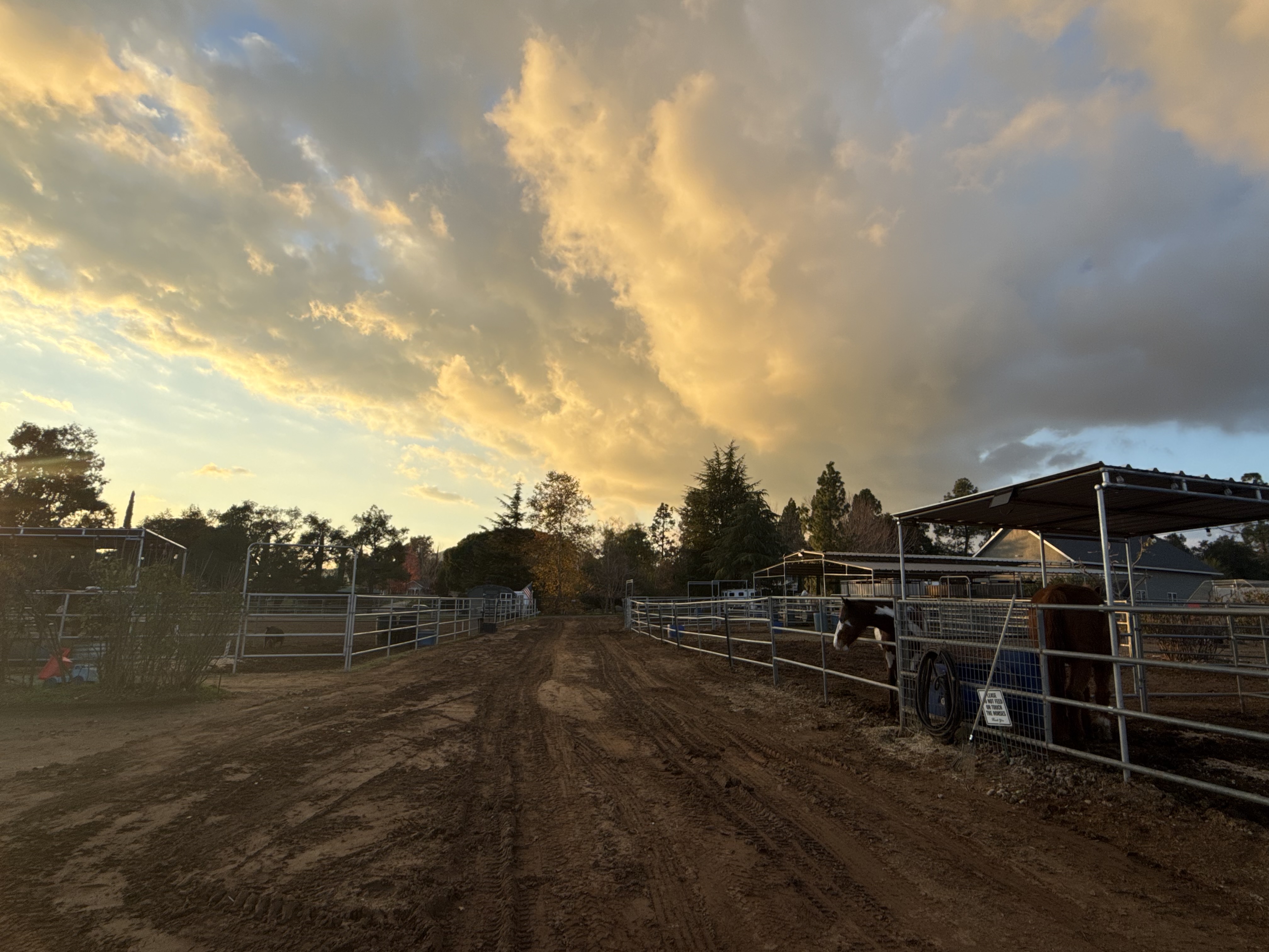 Peaceful space for your horses