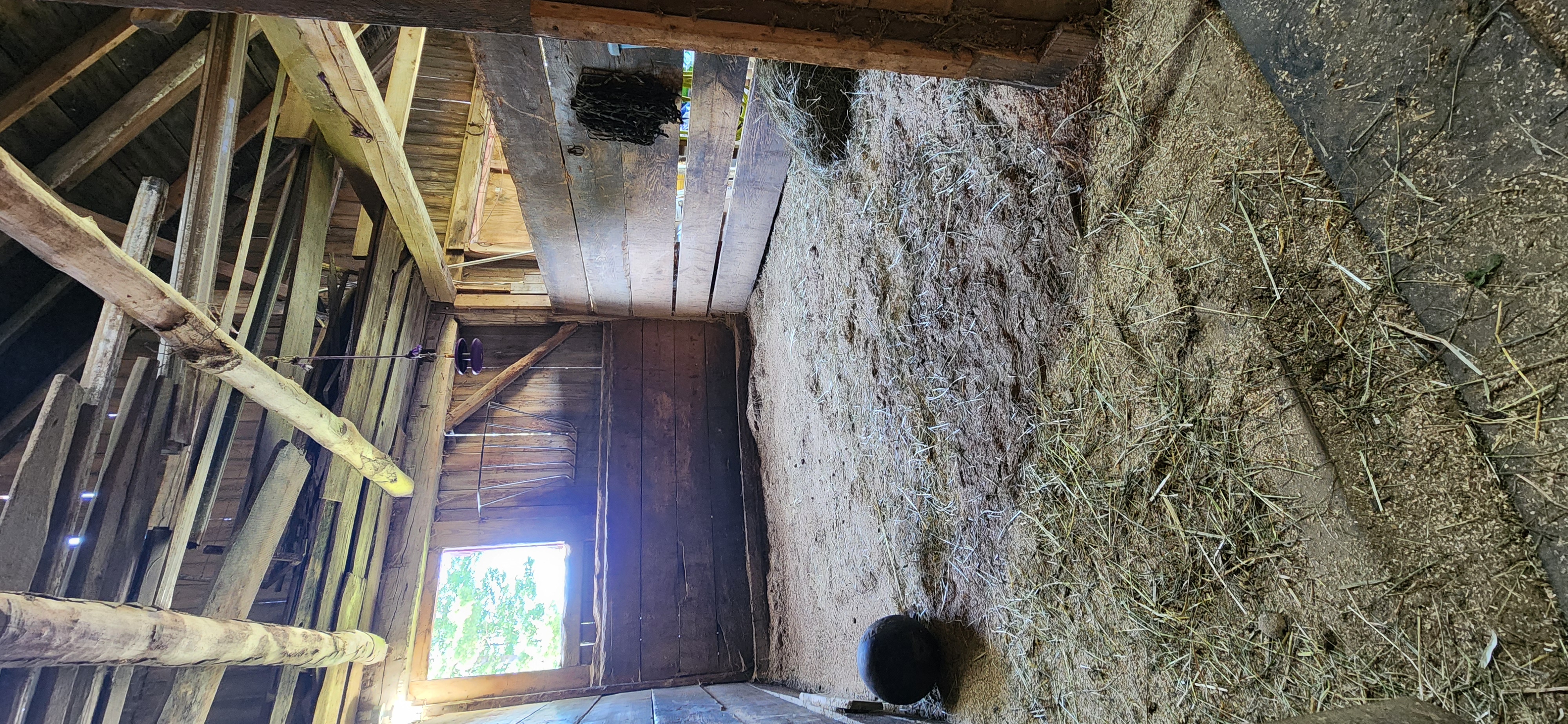 Clean stalls