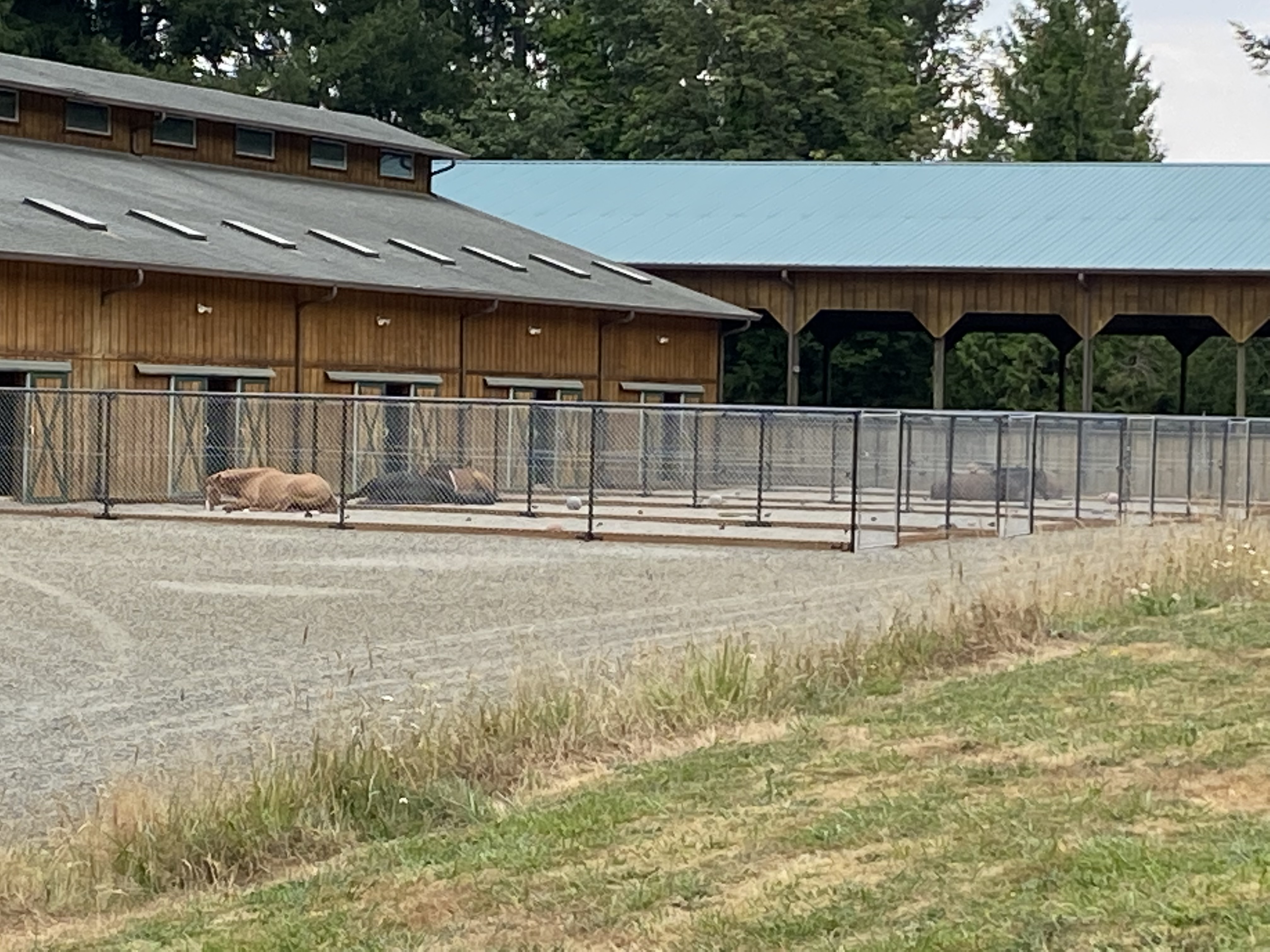 Paddocks