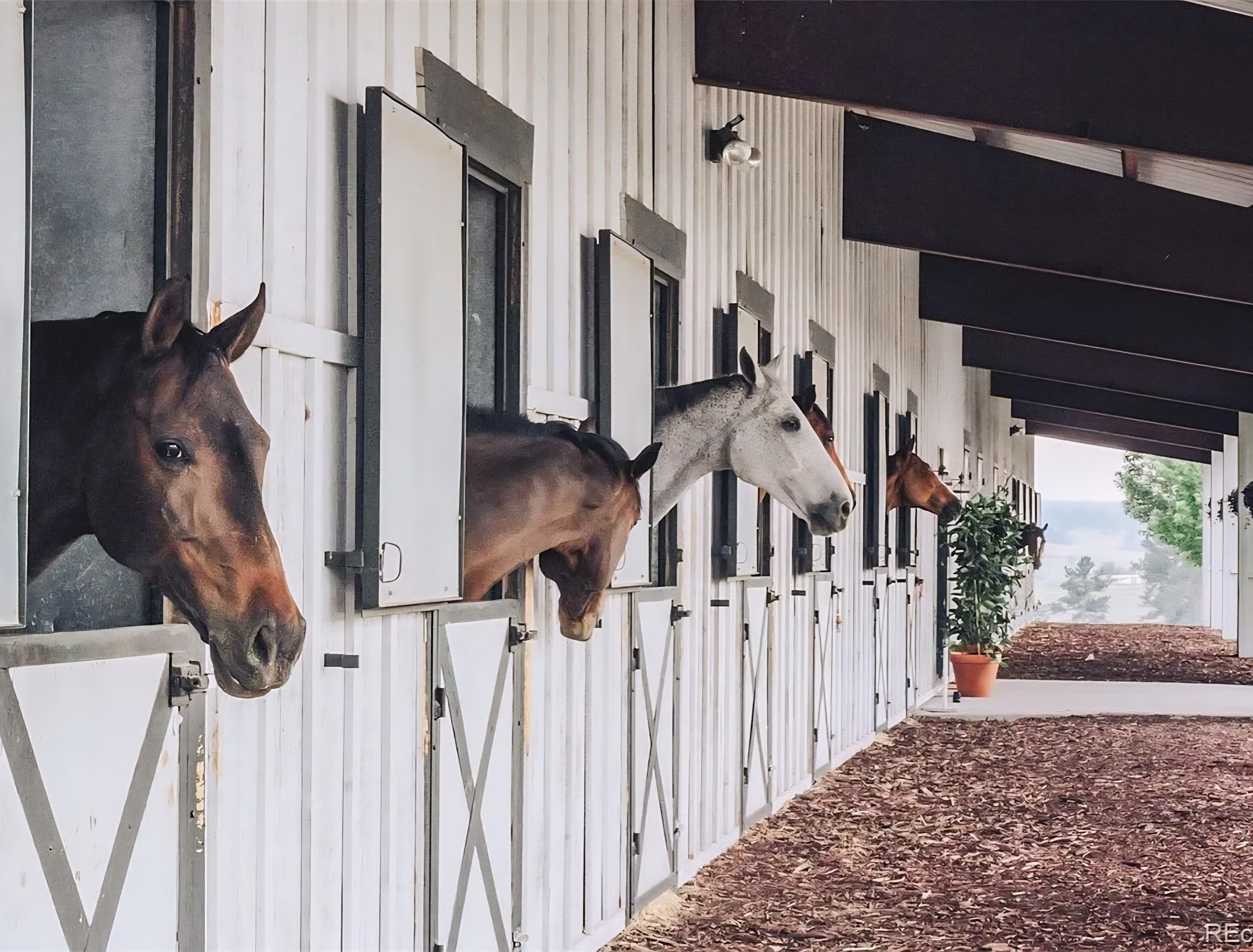 Open style stalls