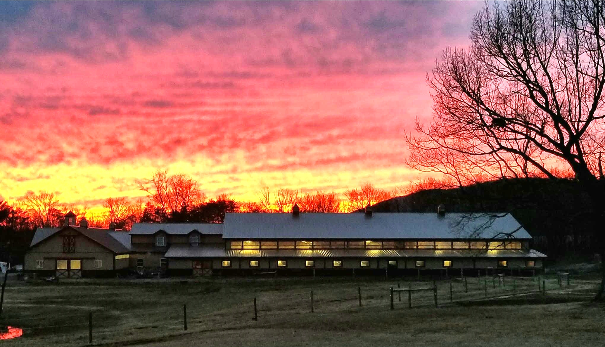 Johnna Stables