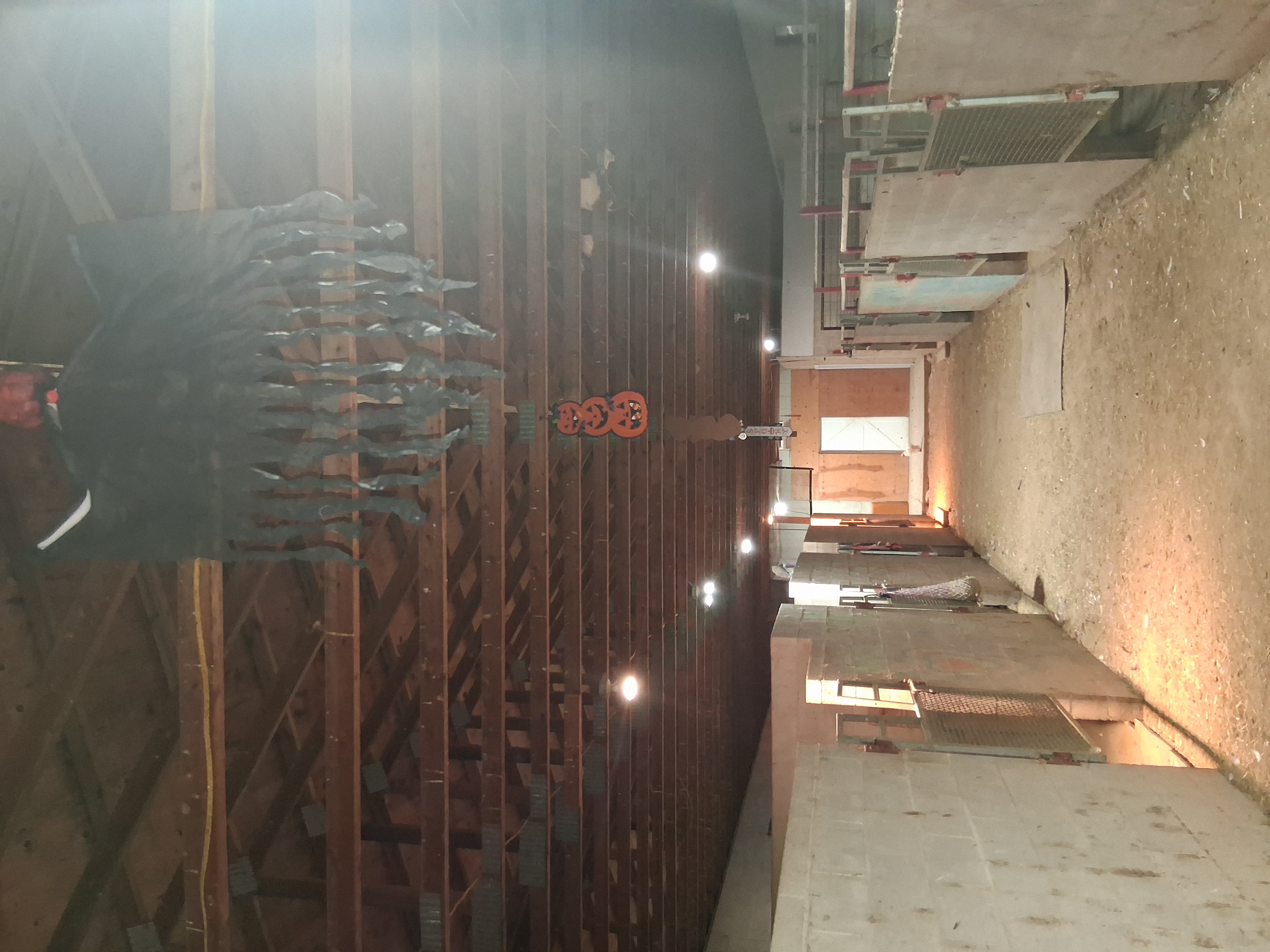 Barn with common tack room, kids area and feed room
