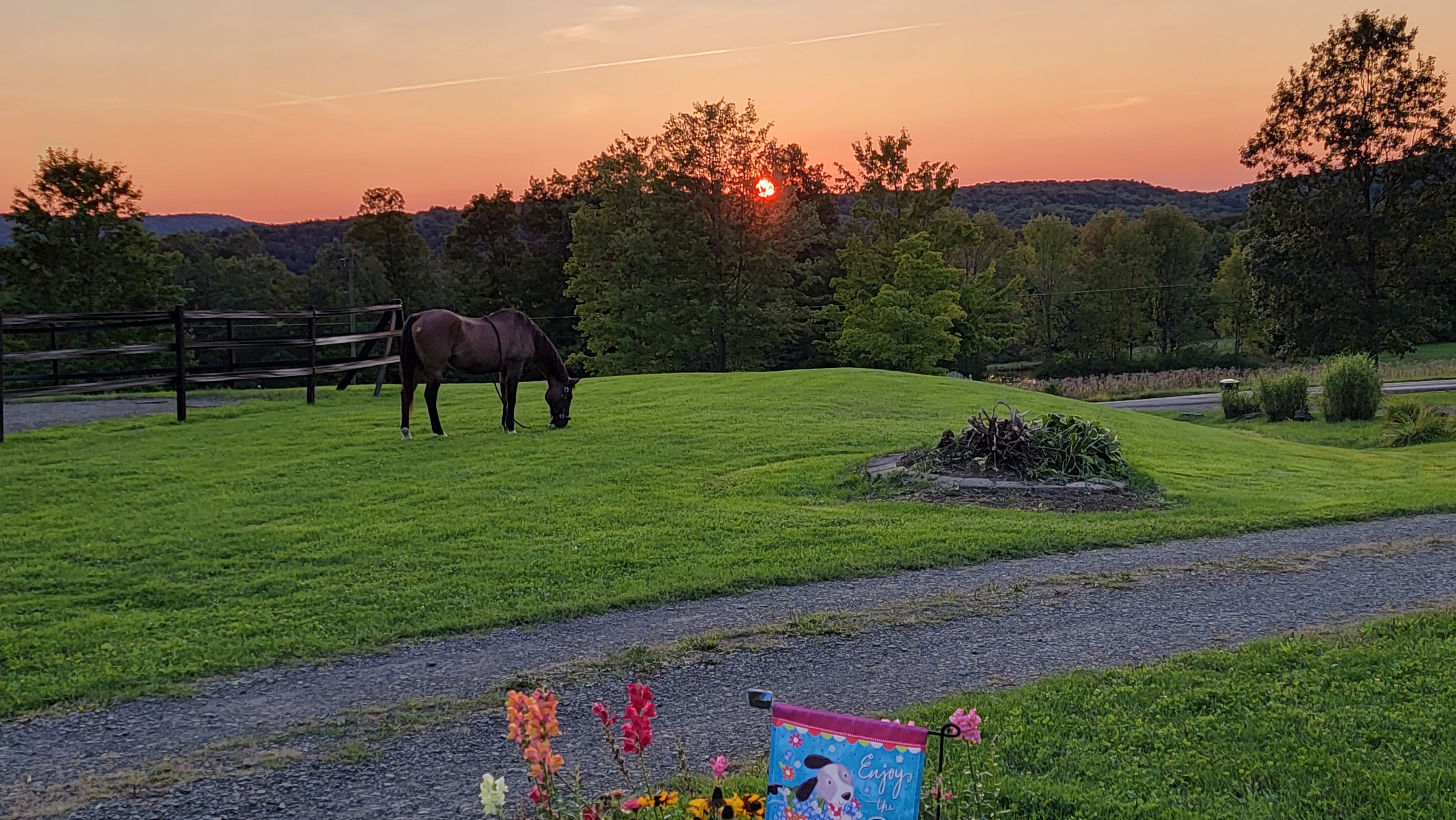 Sunset View