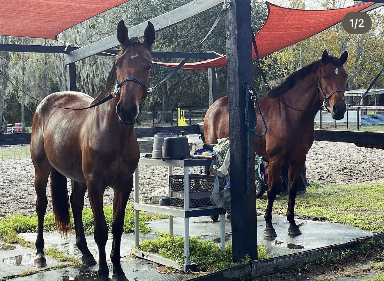 Wash racks