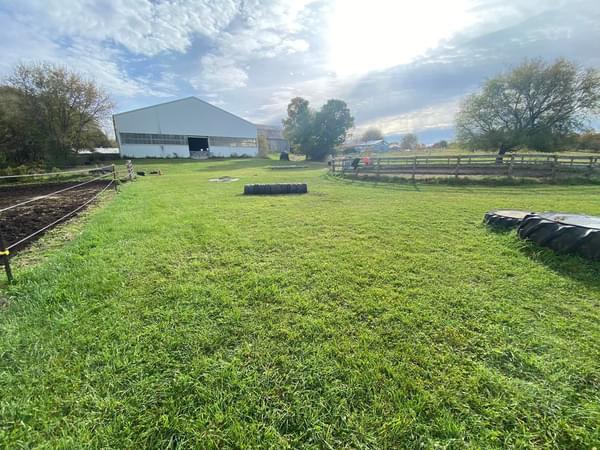 Obstacle course and round pen