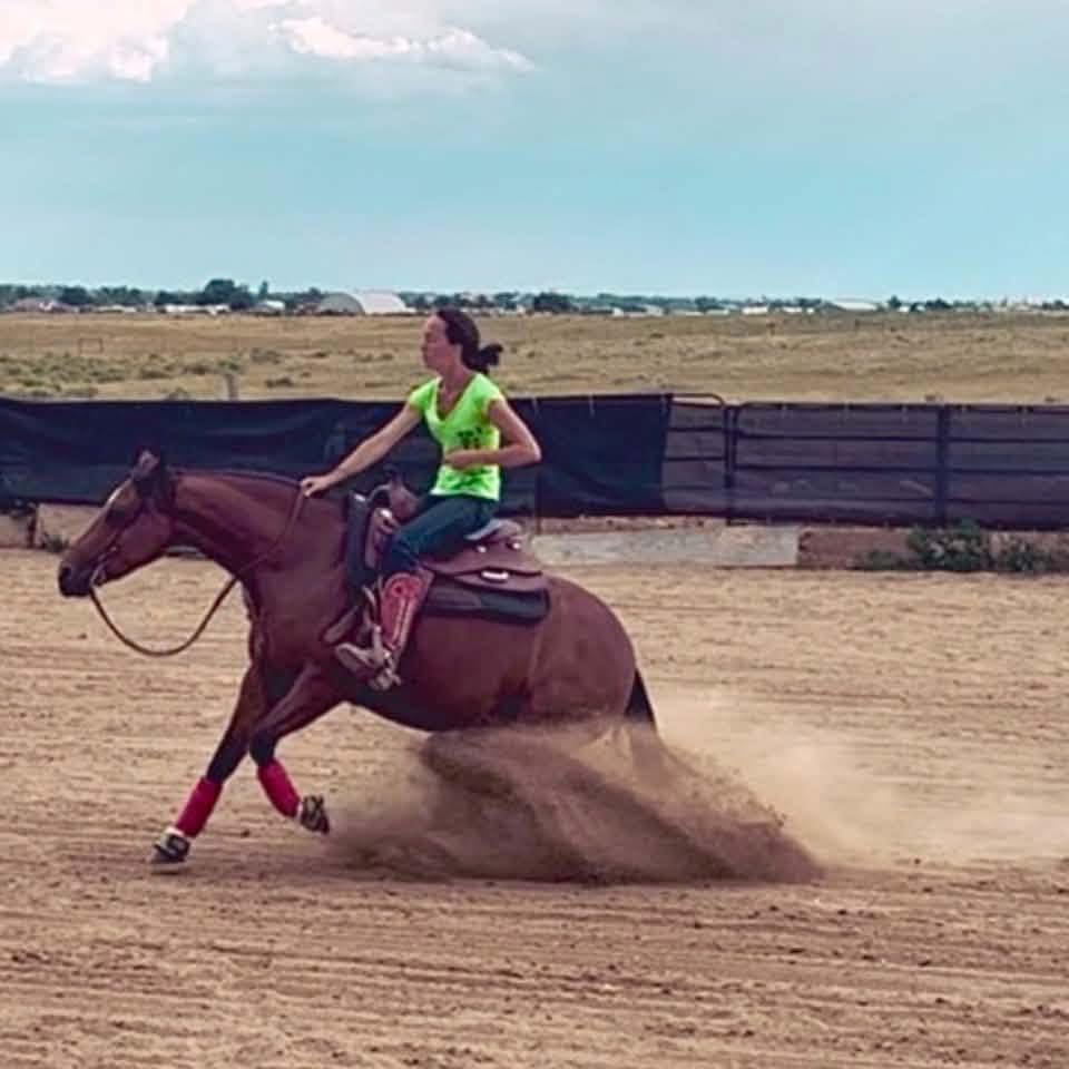 Specializing in reining training and lessons
