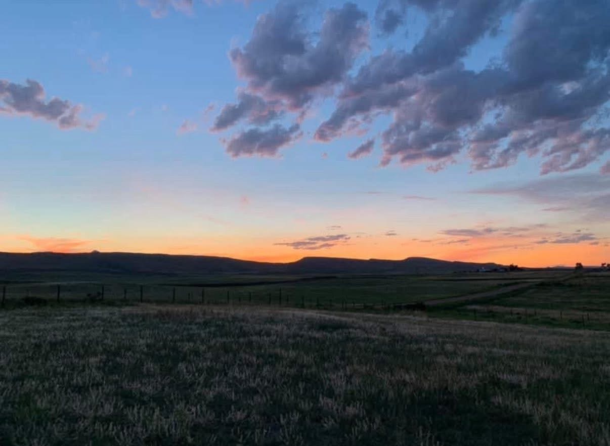 Pasture turnouts