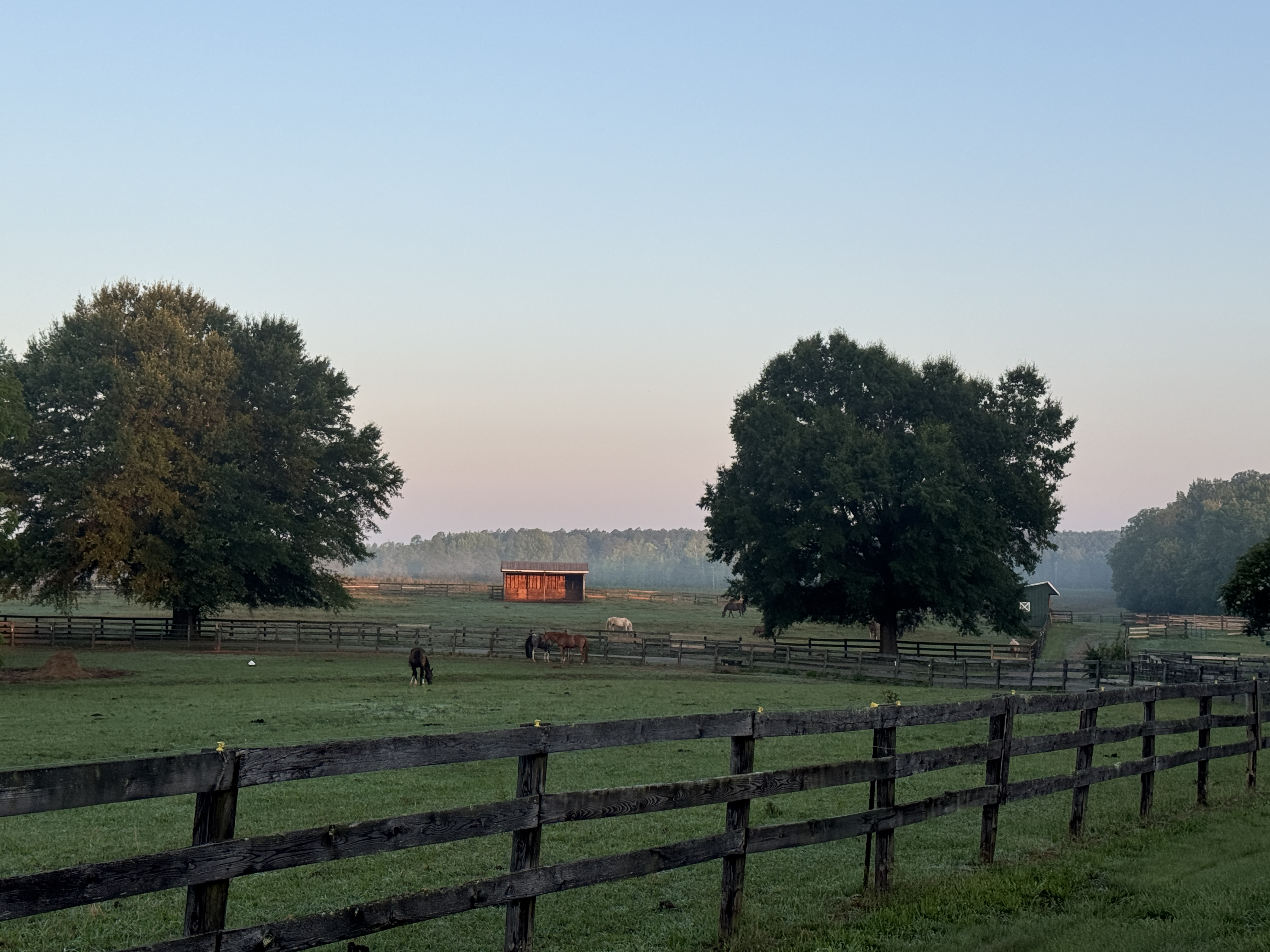 A view of the pastures.