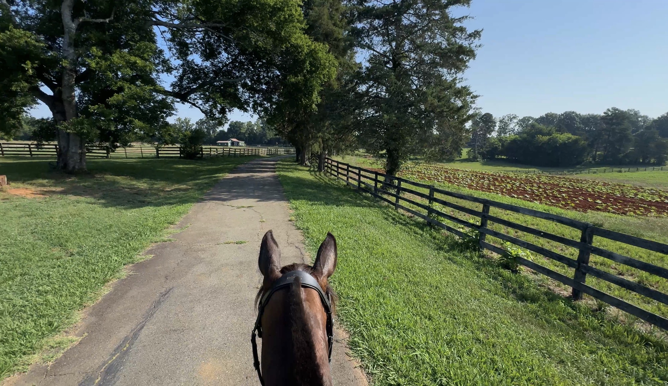 Down the driveway.
