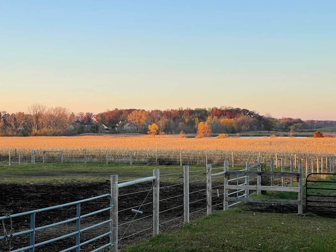 Outdoor boarding pasture