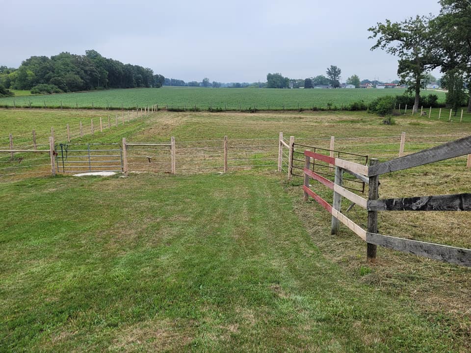 Turnout pastures and new fencing
