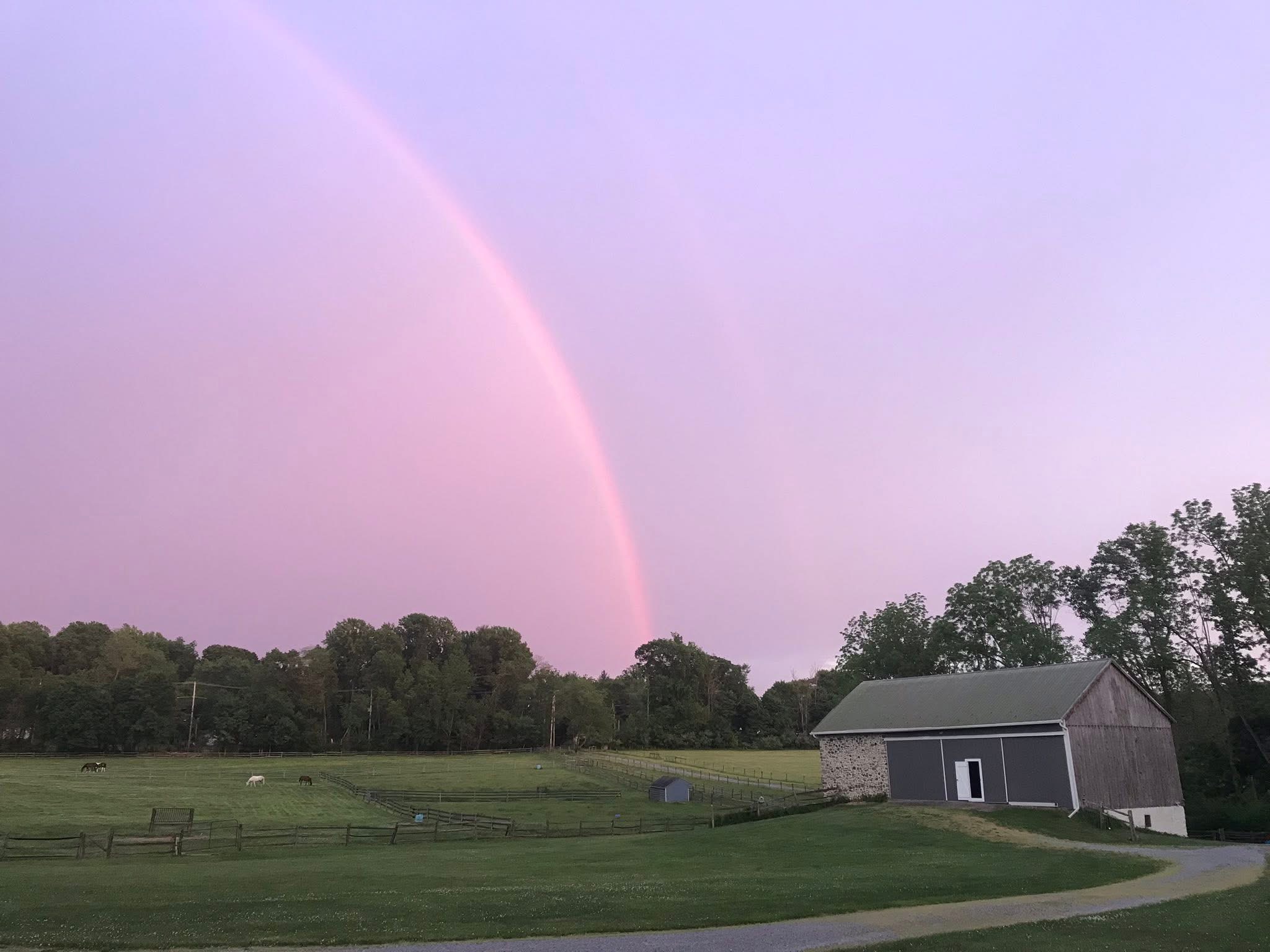Farm view