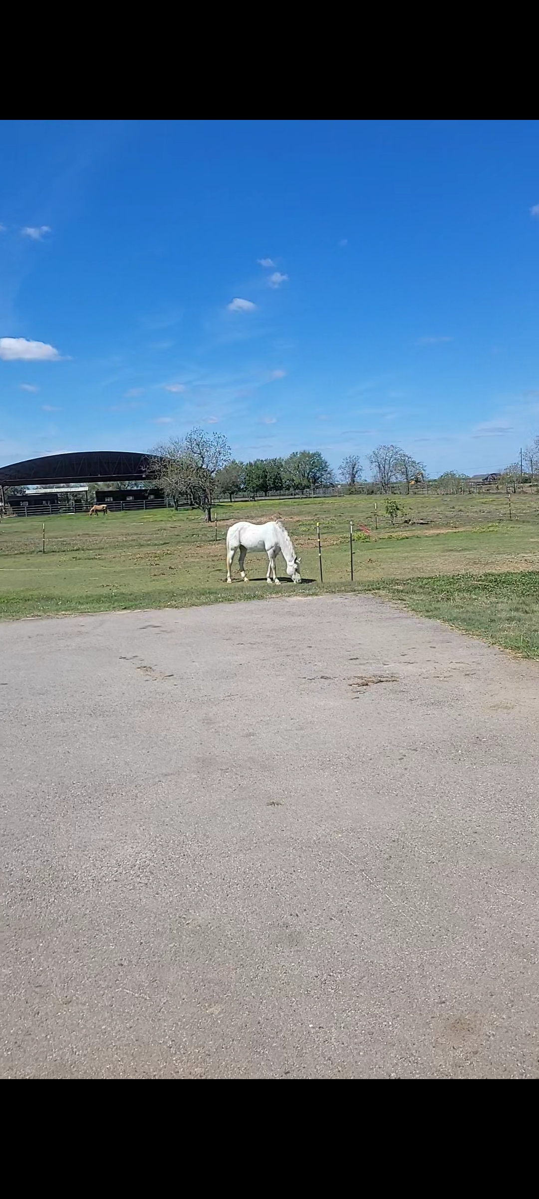 Front pasture