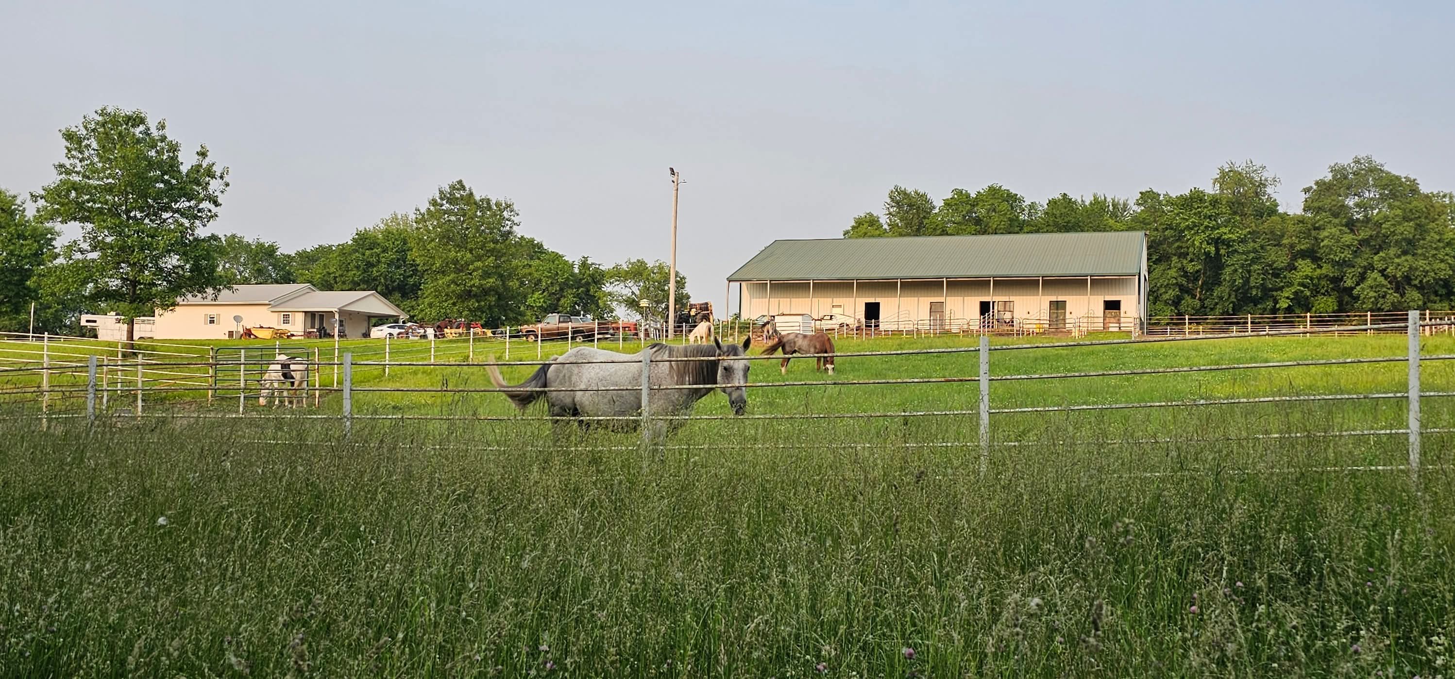 Pasture