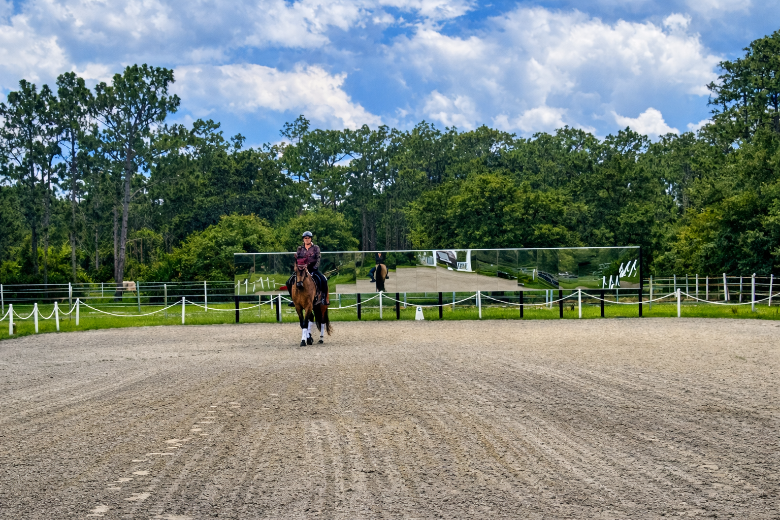 Arena