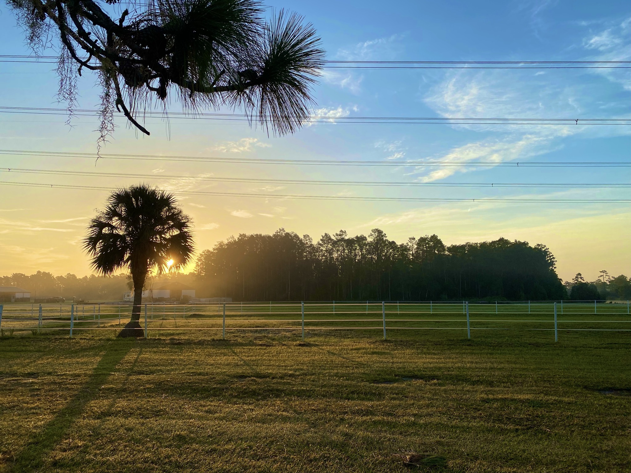 Sunrise