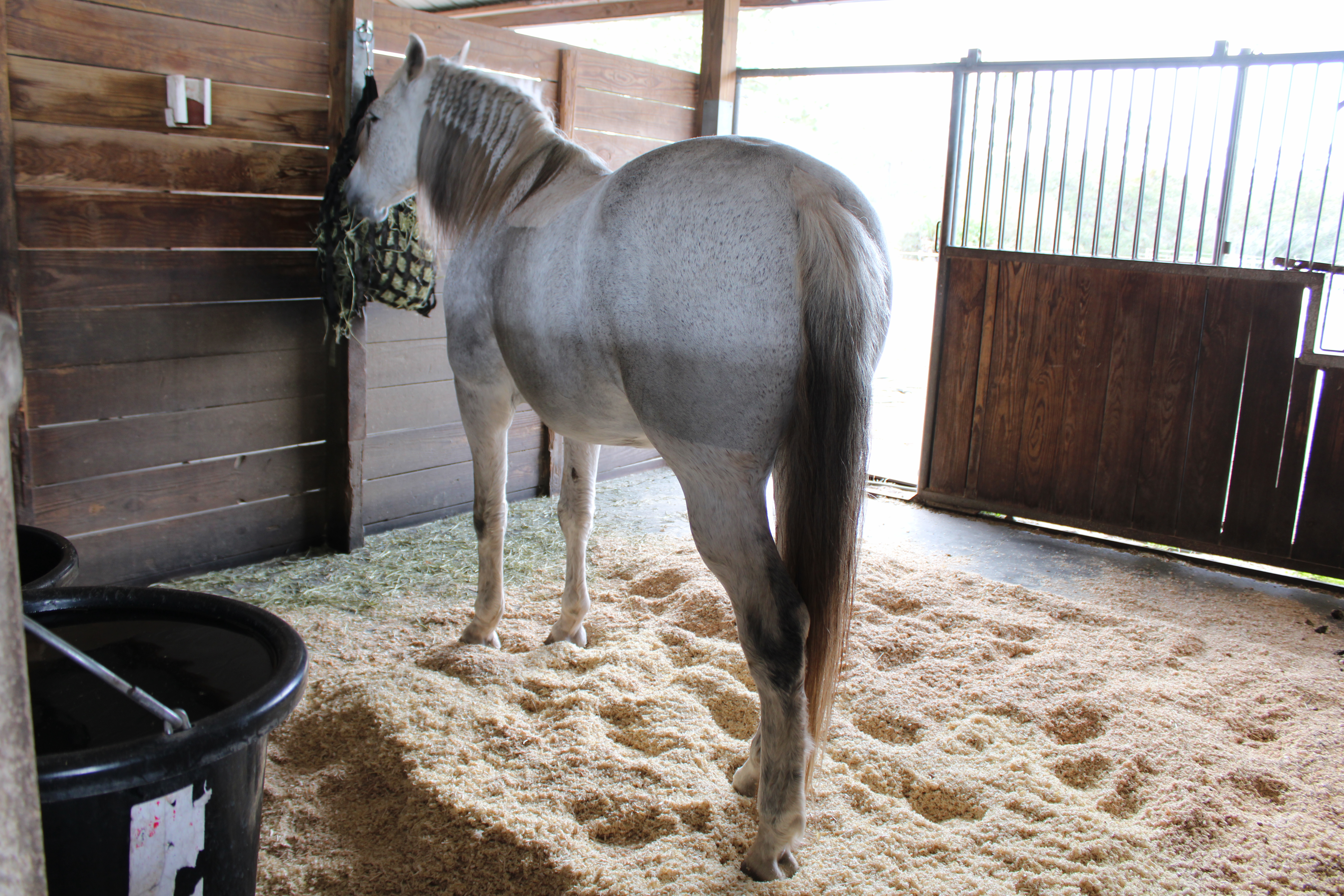 Stalls