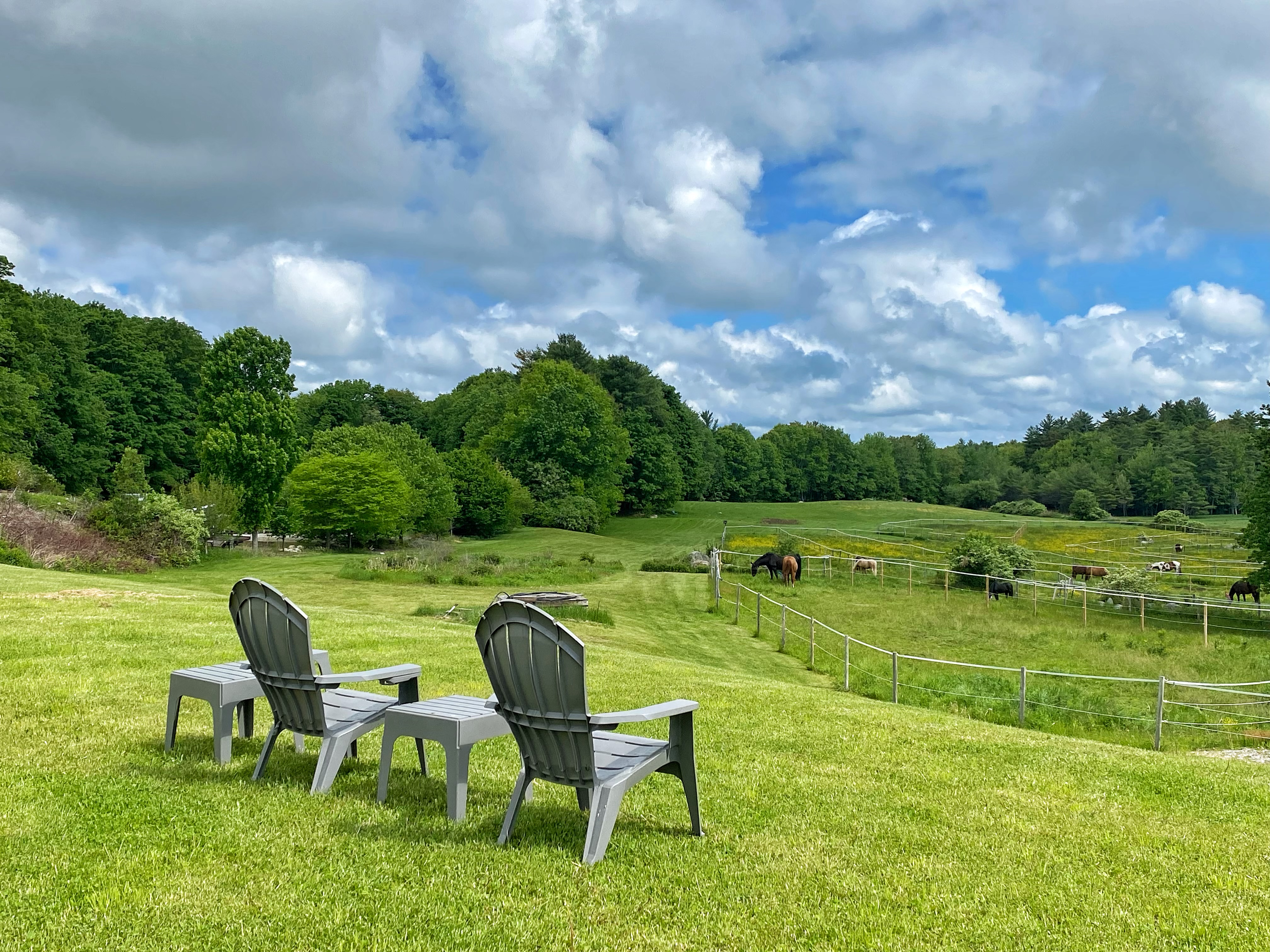 View of one of our pastures