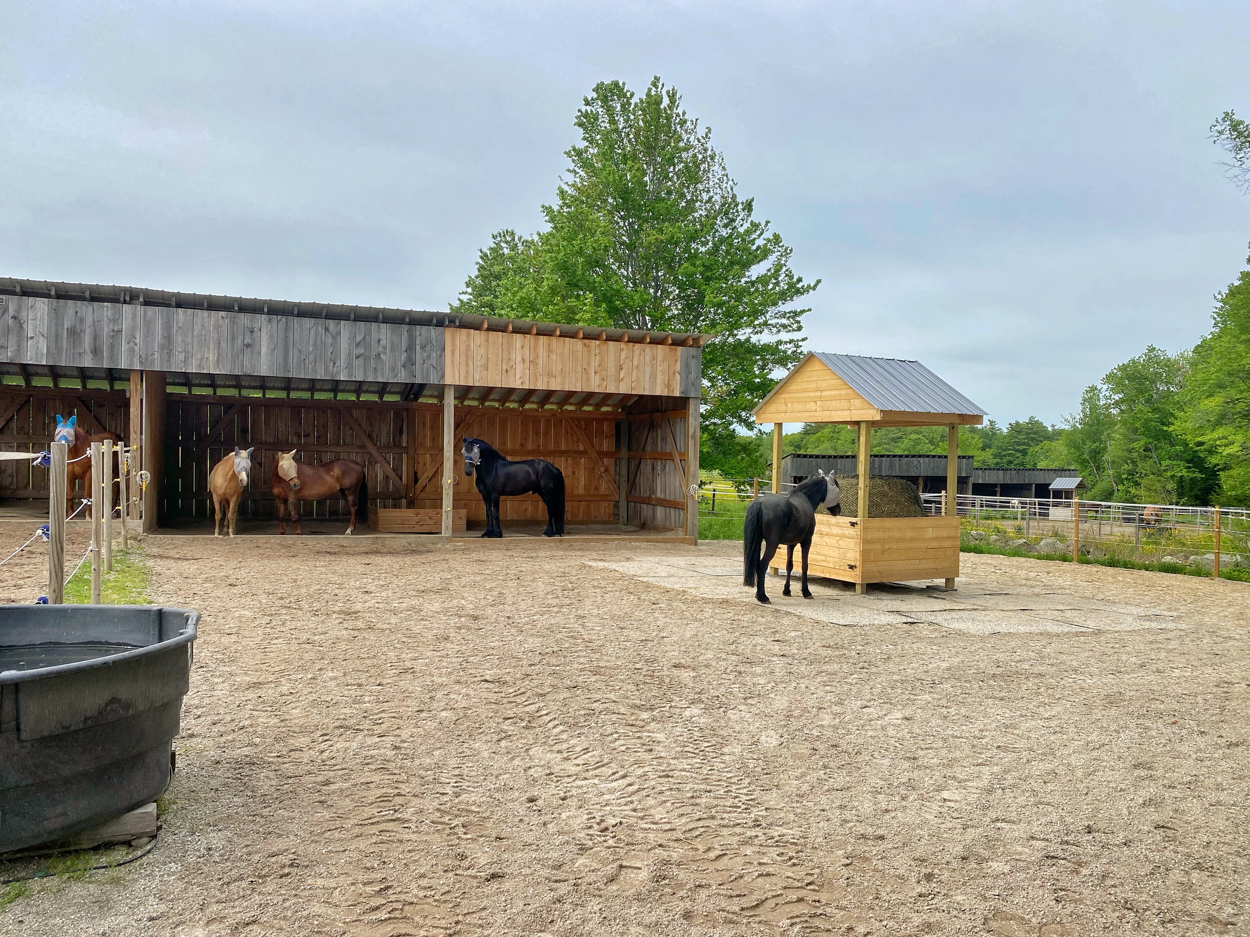 One of our shelters and dry lot, with stone dust footing which stays dry year around!