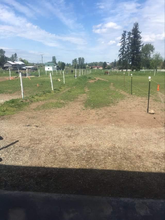Attached Stall Runs