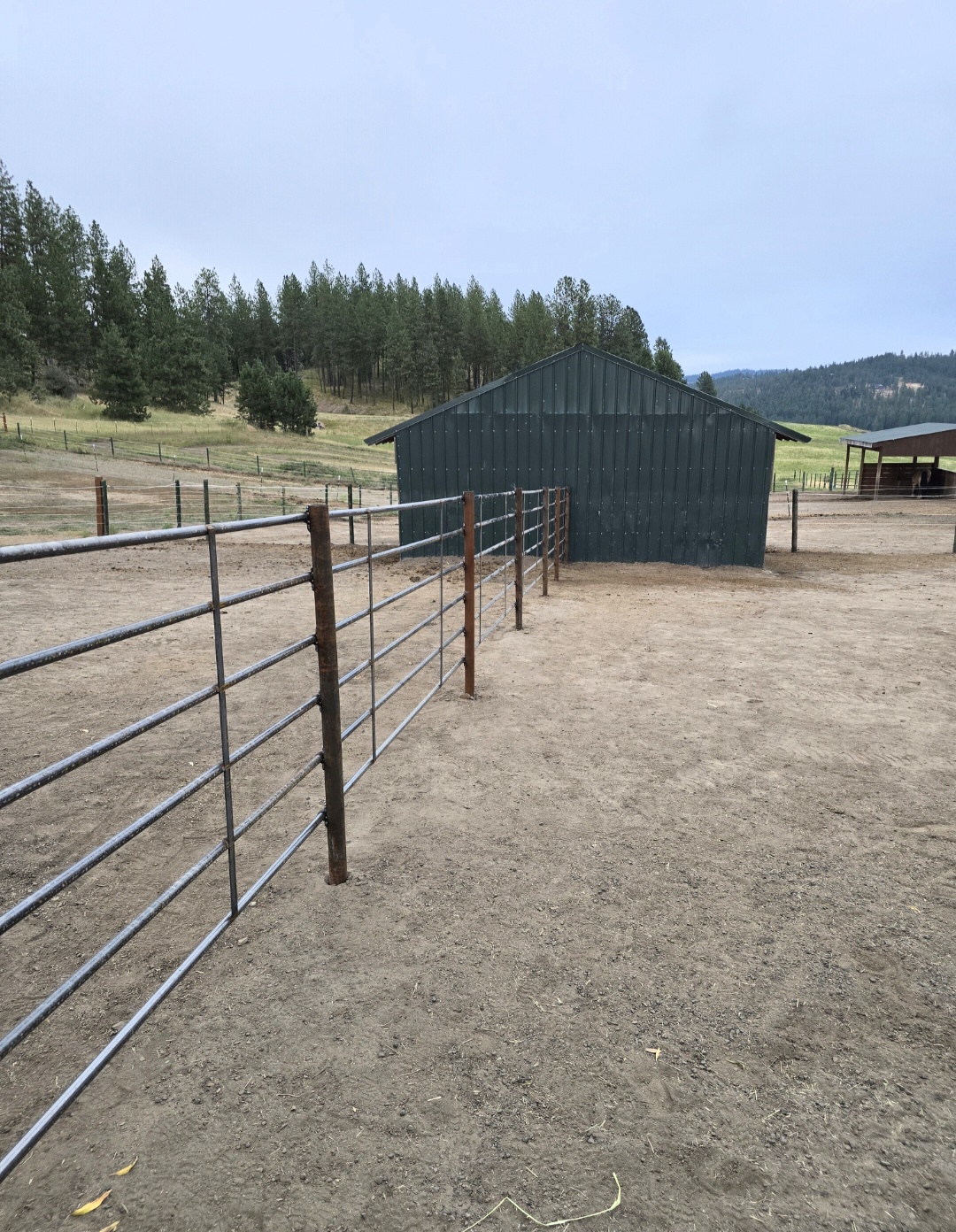 Paddock with shelter